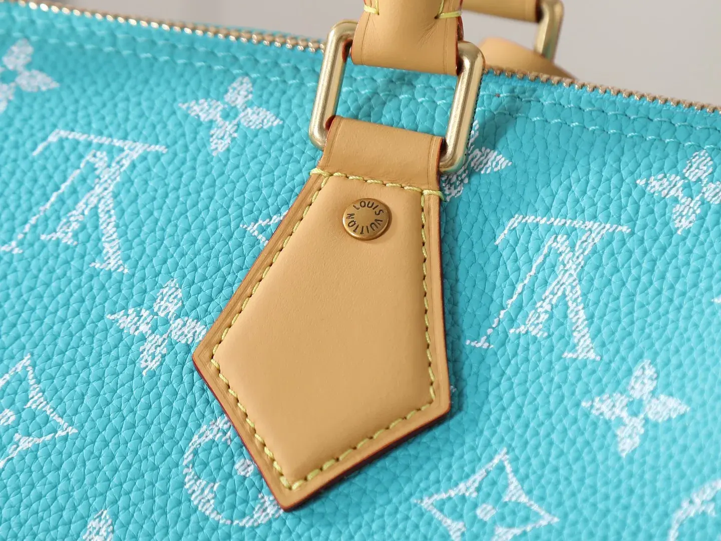 Louis Vuitton Blue Speedy Lambskin Top Handle Bag product photo from LabelPicks