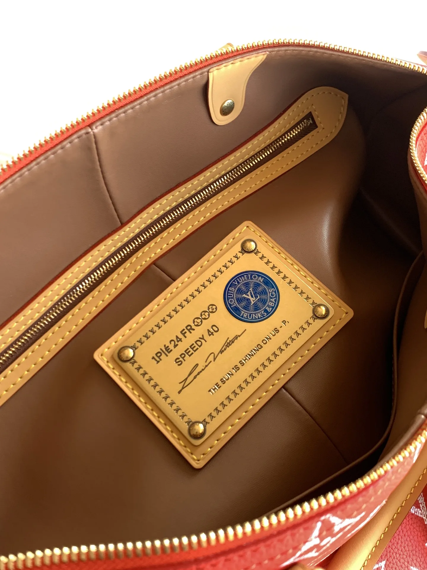 Louis Vuitton Green Speedy Grained Leather Top Handle Bag product photo from LabelPicks