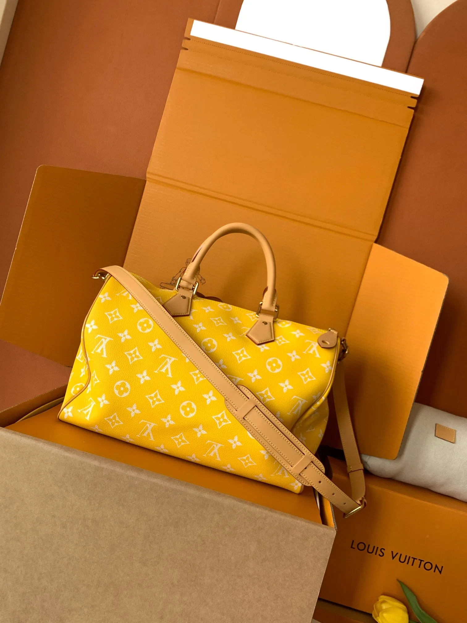Louis Vuitton Grained Leather Speedy Top Handle Bag product photo from LabelPicks