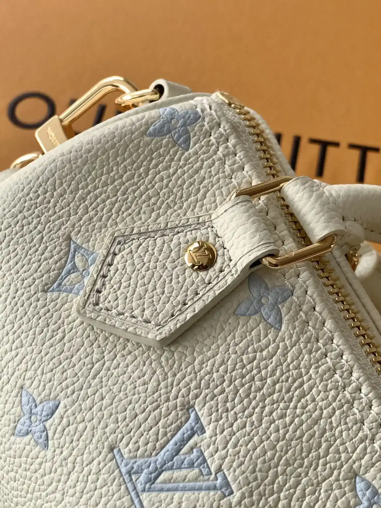 Louis Vuitton Speedy Pink Grained Leather Top Handle Bag product photo from LabelPicks