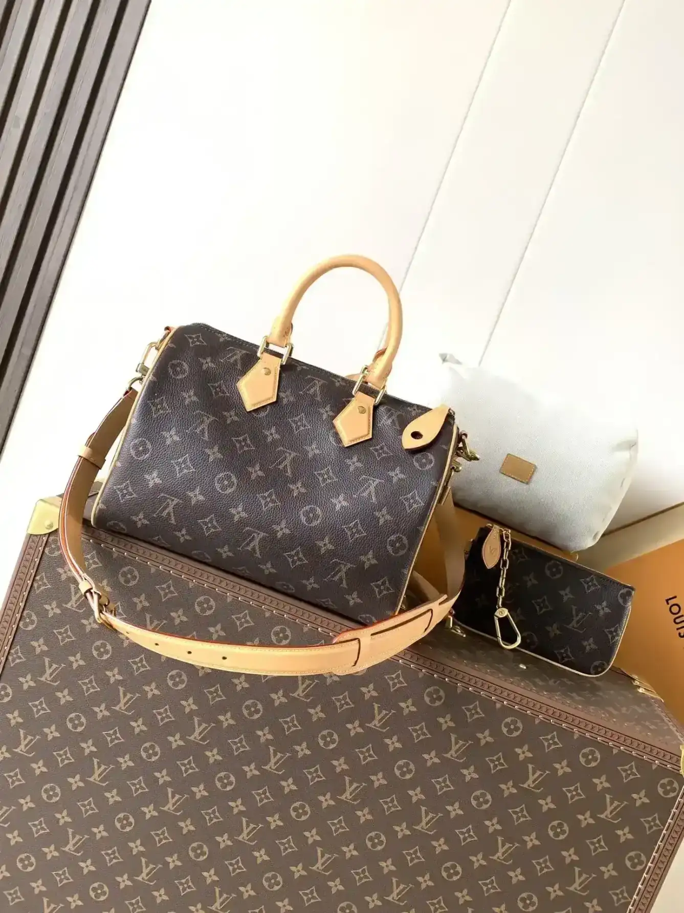 Louis Vuitton Speedy Black Monogram Canvas Top Handle Bag product photo from LabelPicks