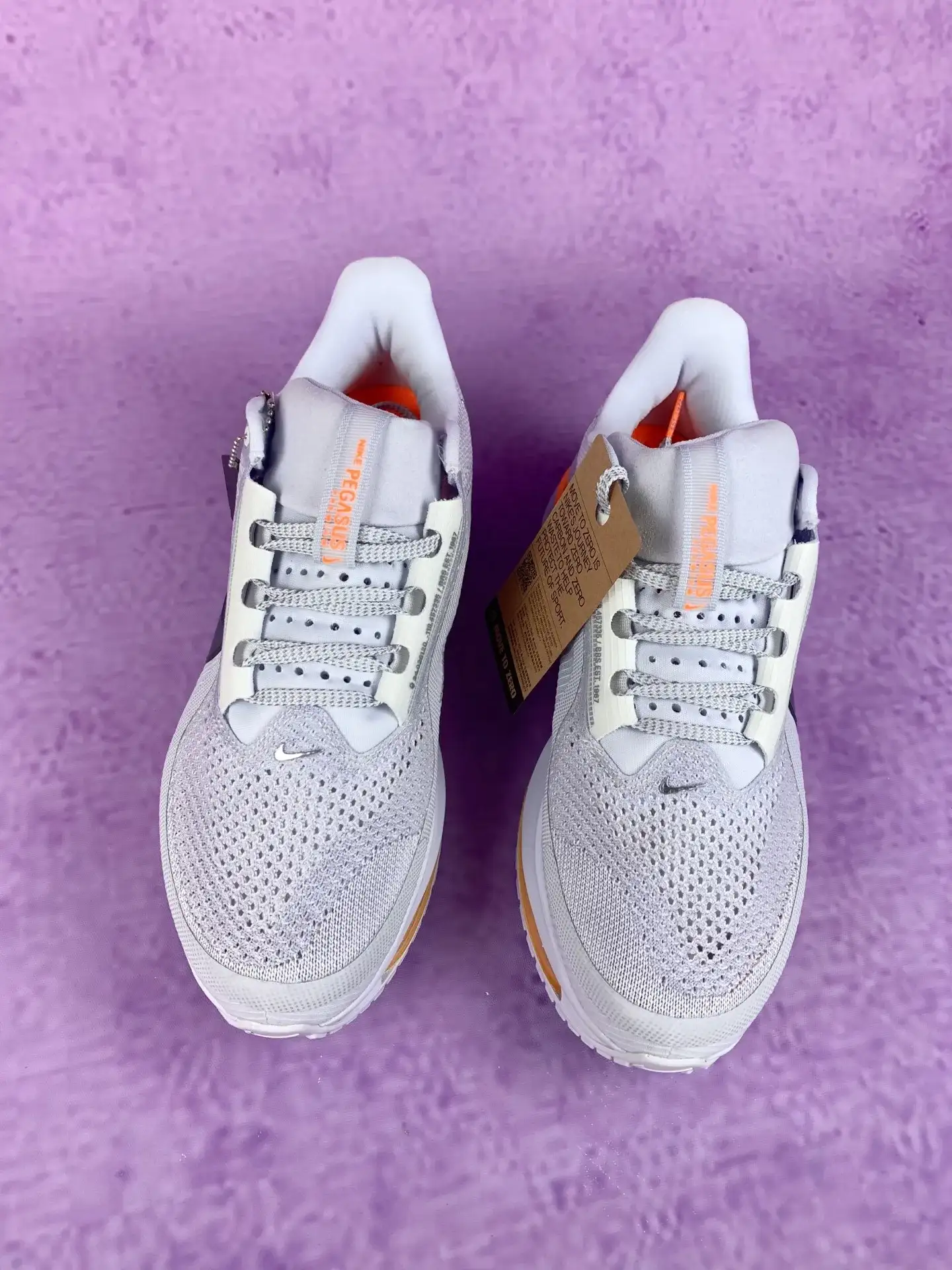 Nike Pegasus Premium Shoes product photo from LabelPicks
