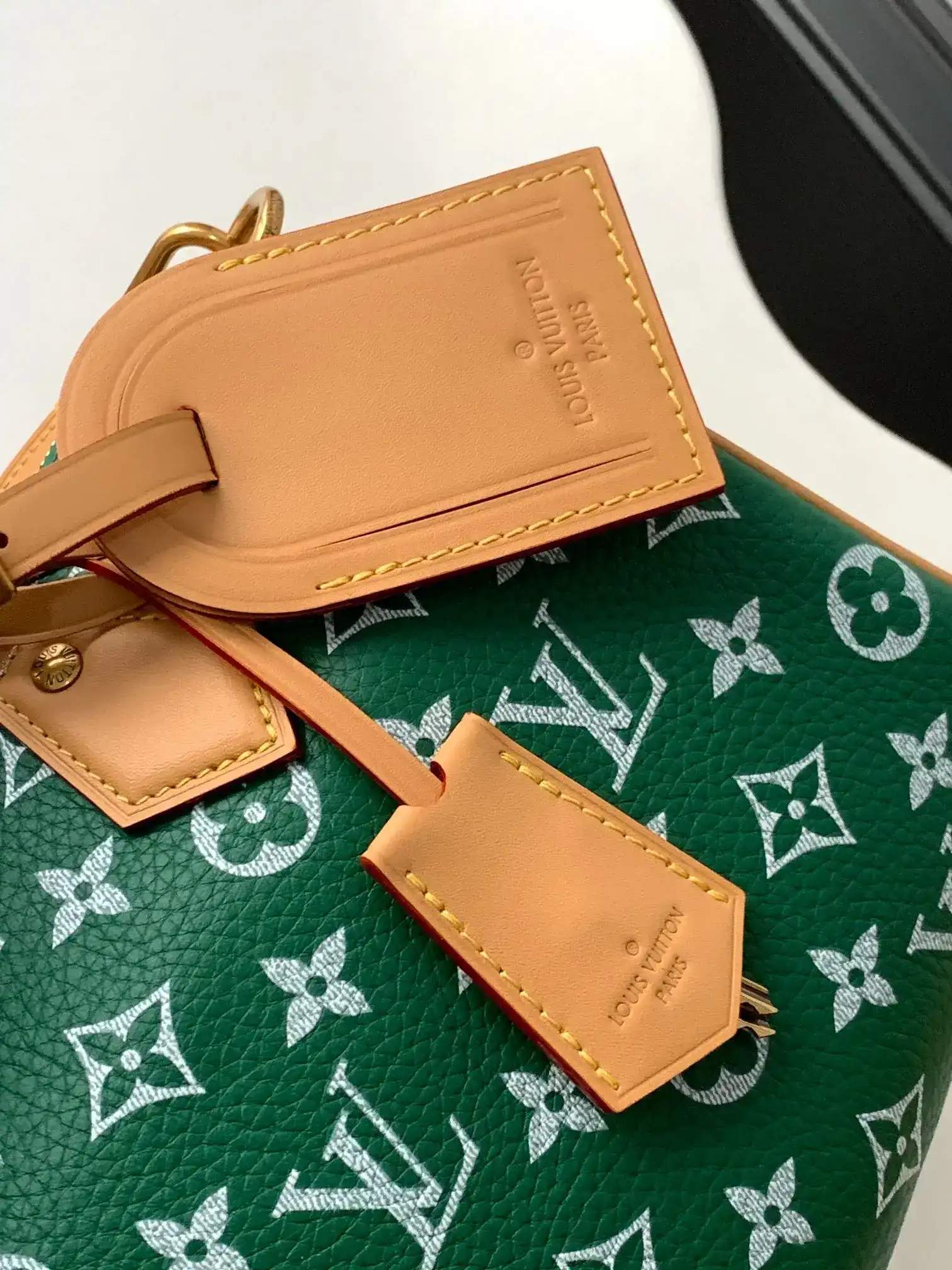 Louis Vuitton Green Speedy Lambskin Top Handle Bag product photo from LabelPicks