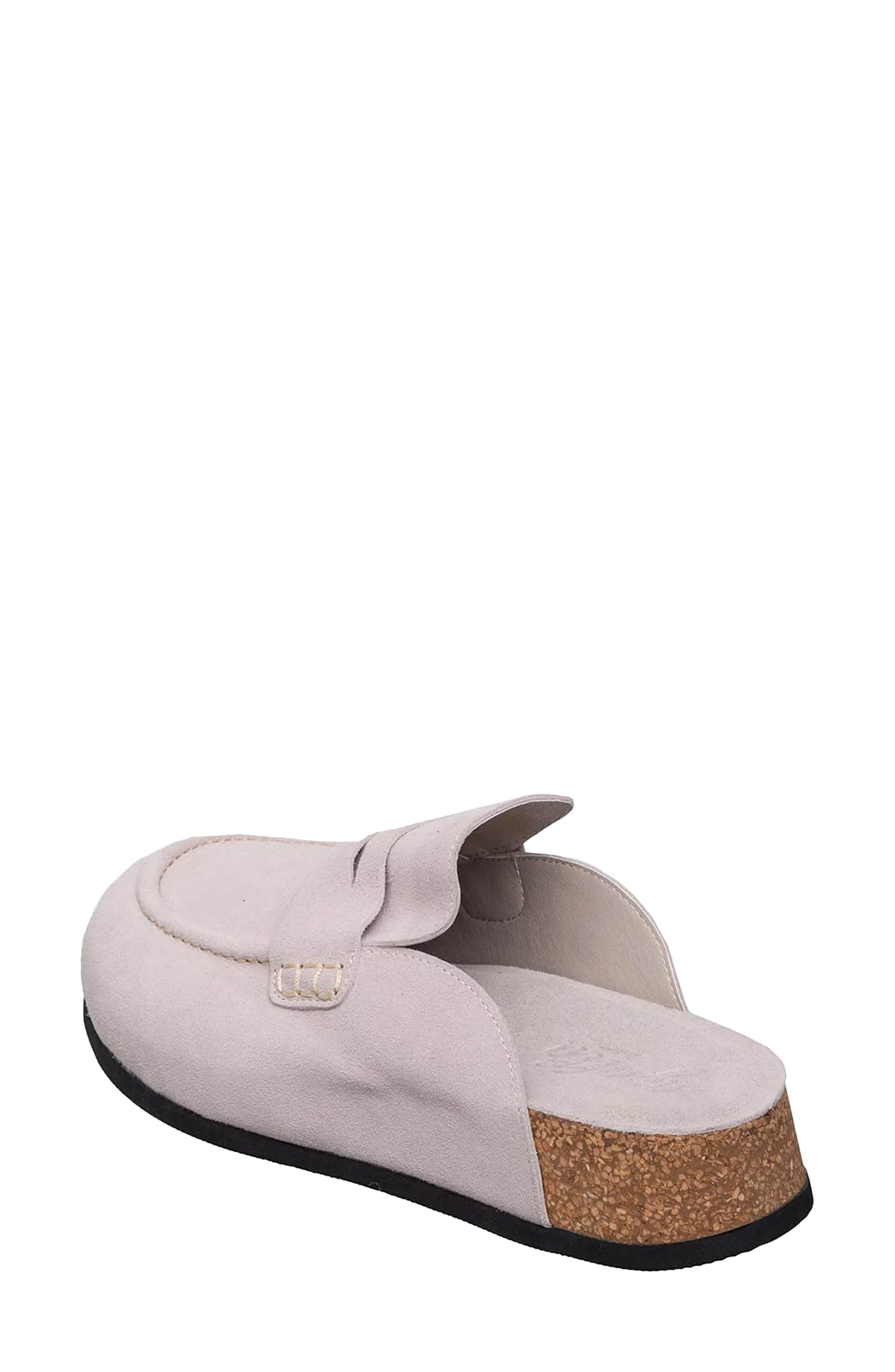 ANTELOPE Rachel Mule