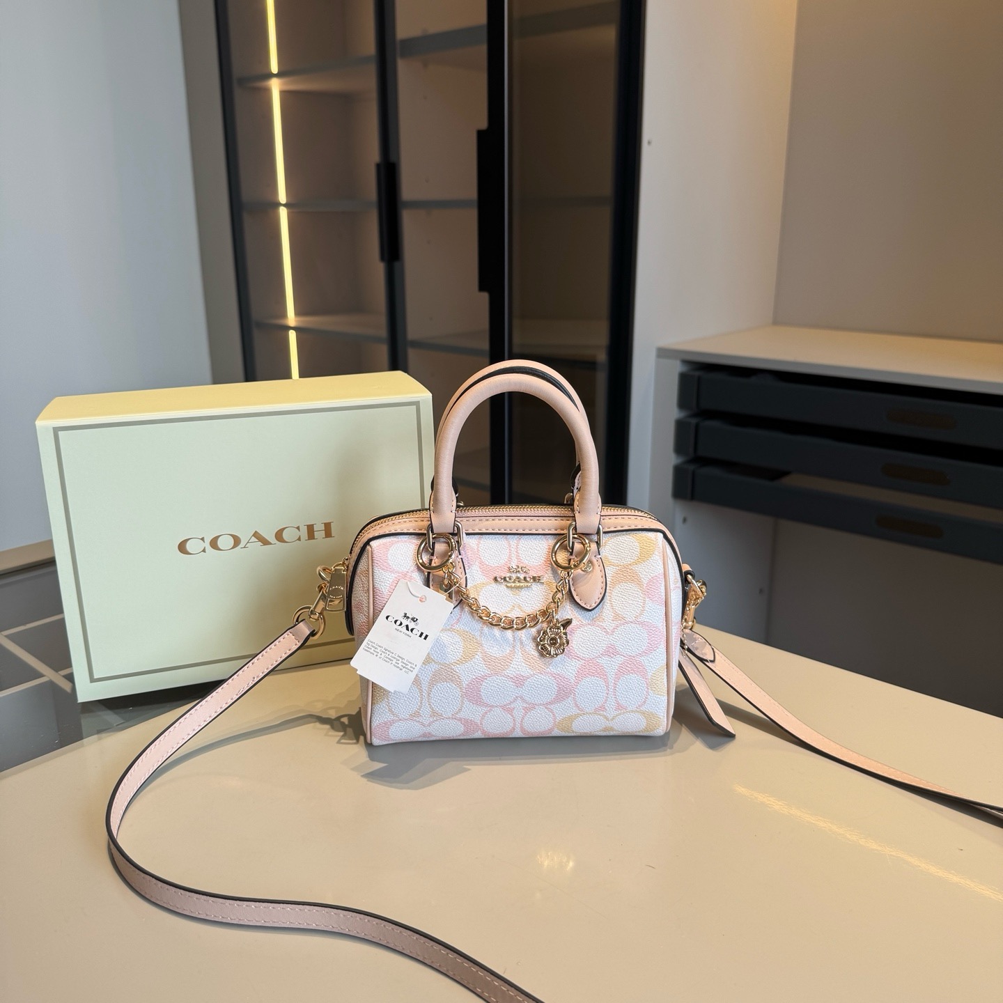Coach Mini pillow bag
