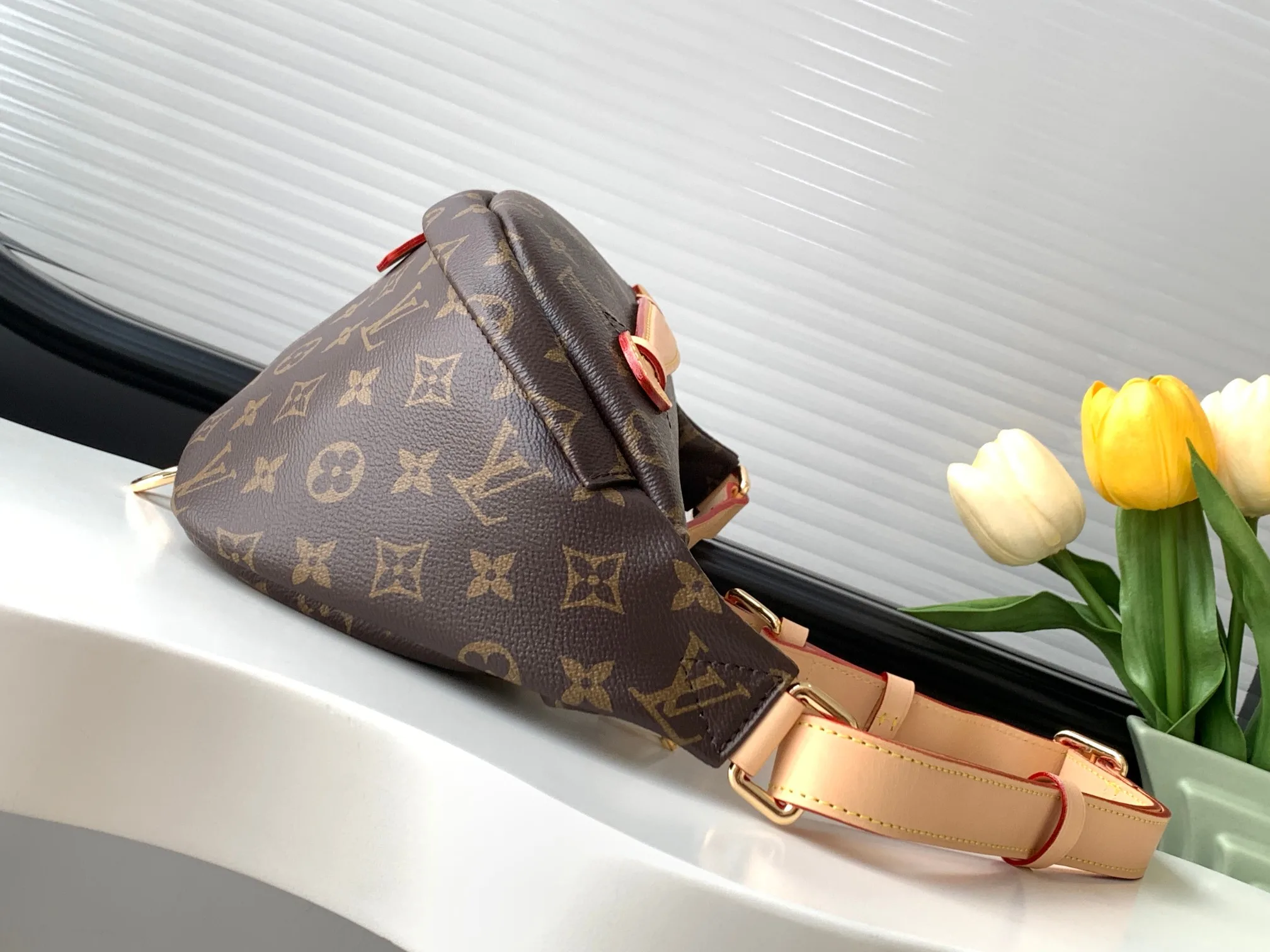 Louis Vuitton Monogram Canvas Belt Bag product photo from LabelPicks
