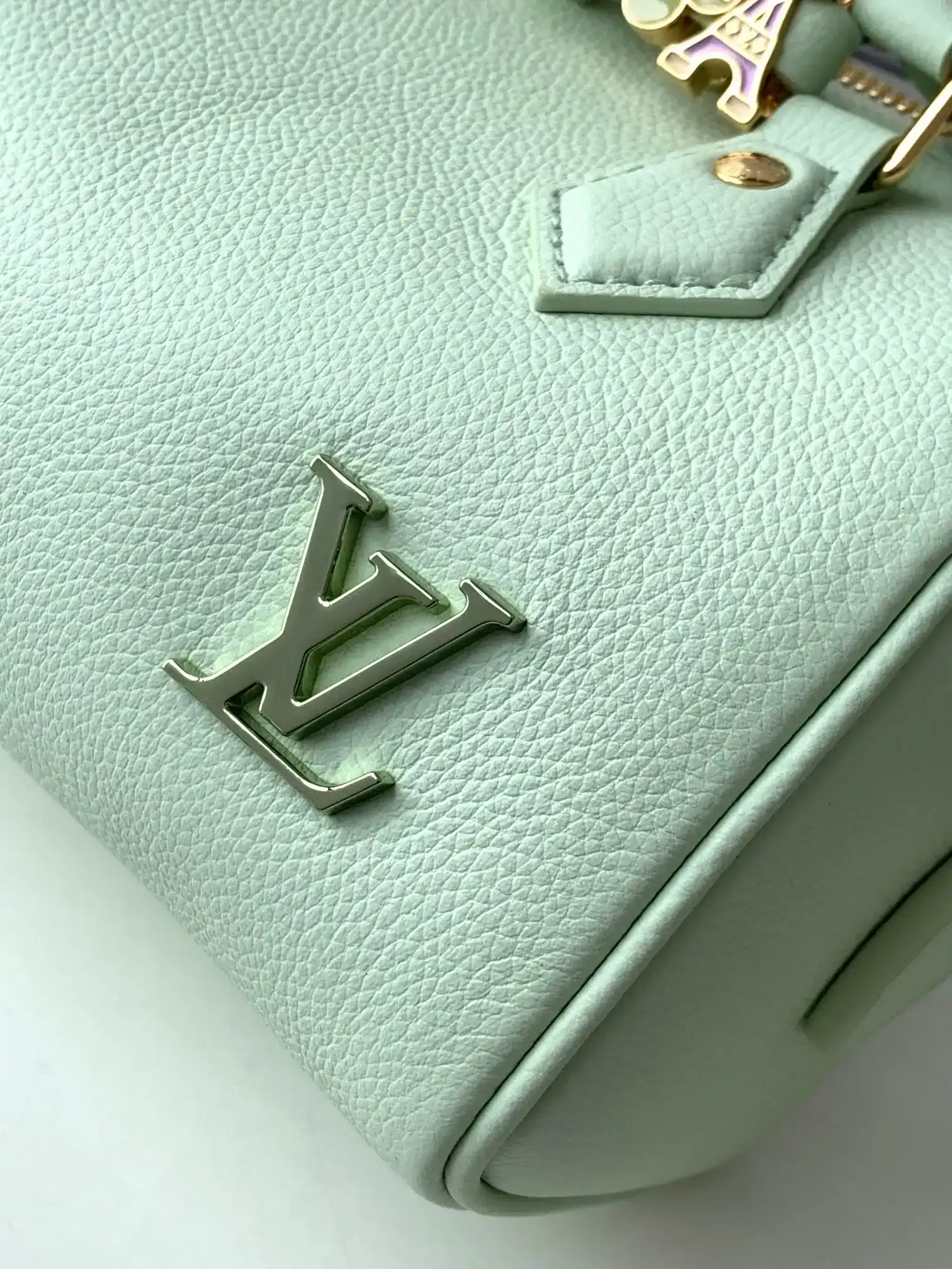 Louis Vuitton Green Speedy Top Handle Bag product photo from LabelPicks