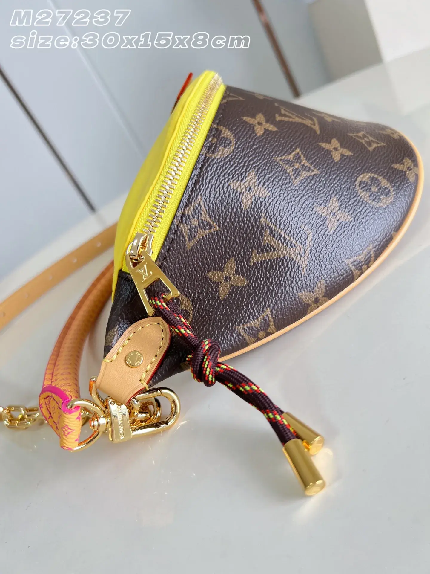 Louis Vuitton Nylon Belt Bag product photo from LabelPicks