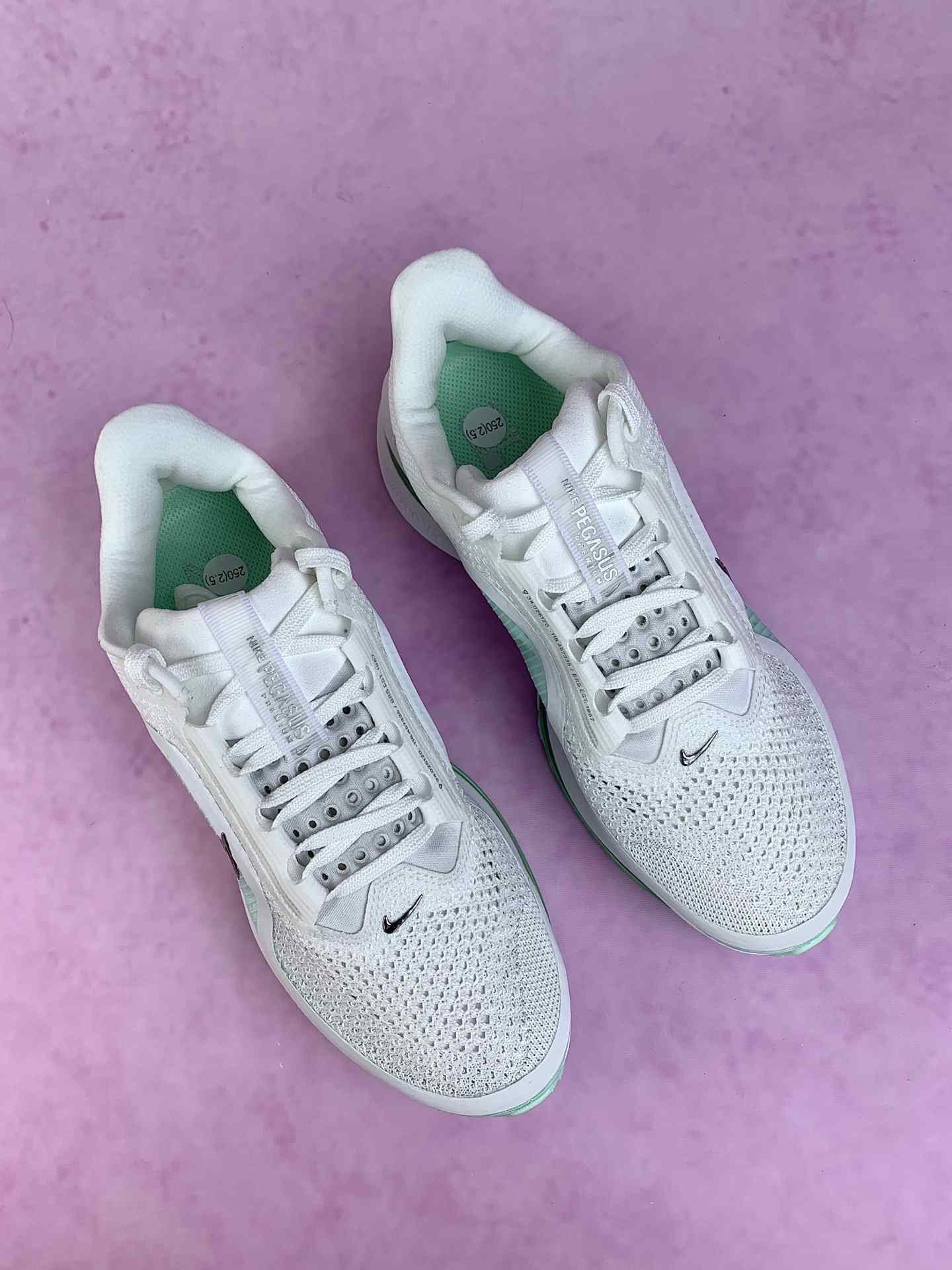 Nike Pegasus Premium Shoes