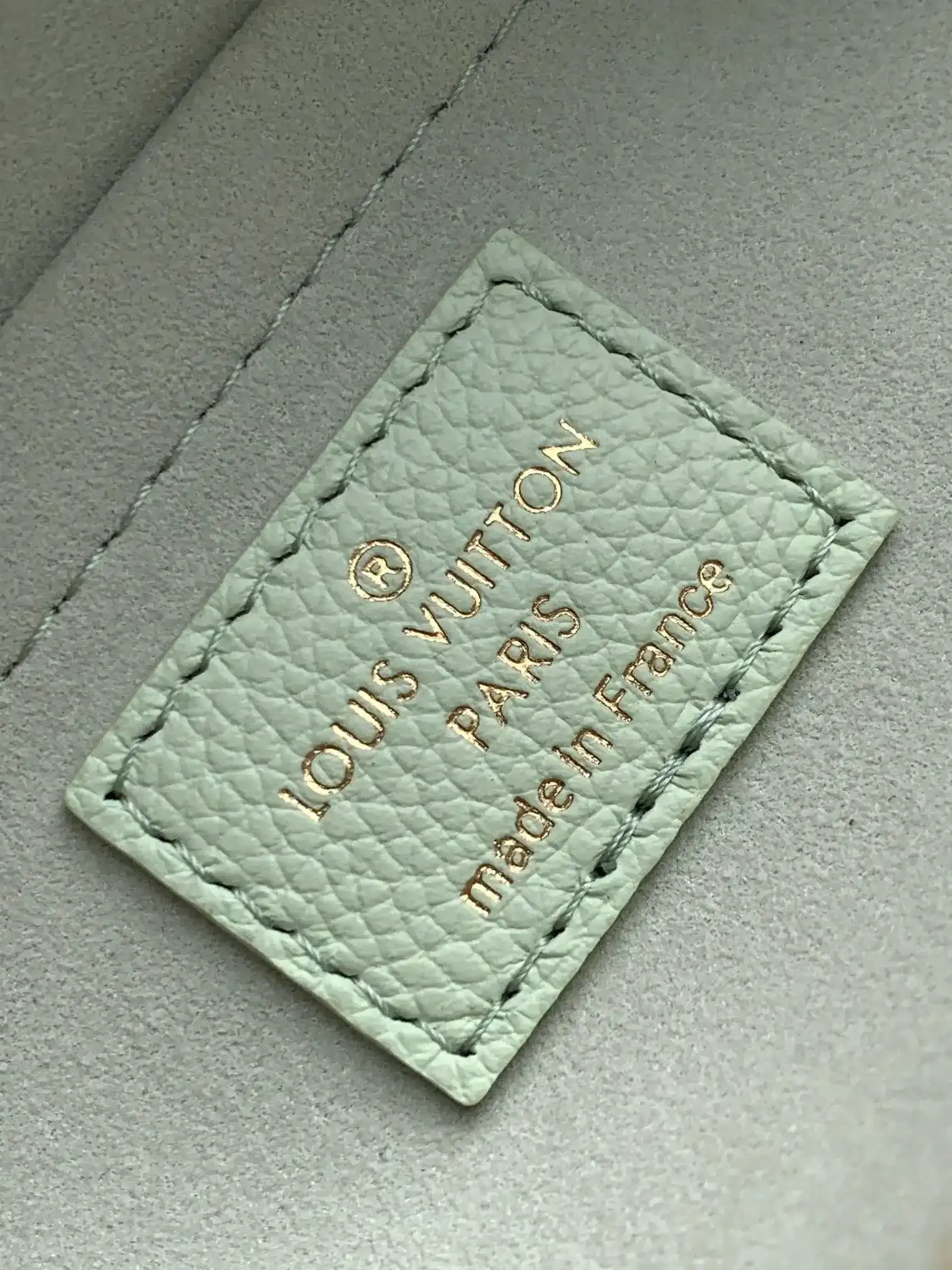 Louis Vuitton Green Speedy Top Handle Bag product photo from LabelPicks