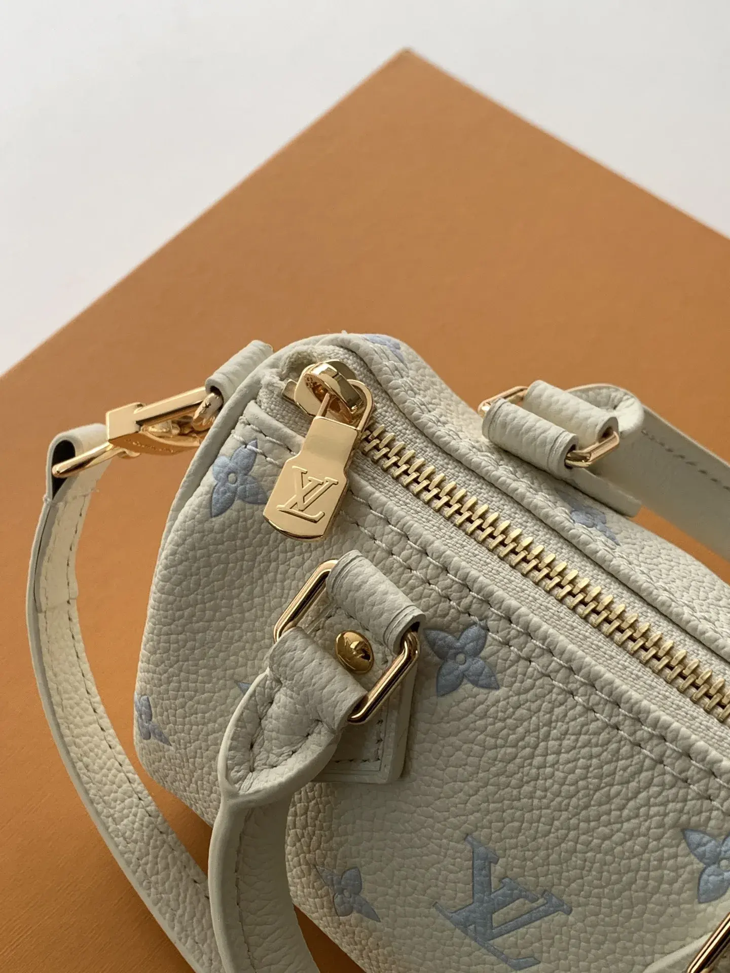 Louis Vuitton Speedy Pink Grained Leather Top Handle Bag product photo from LabelPicks