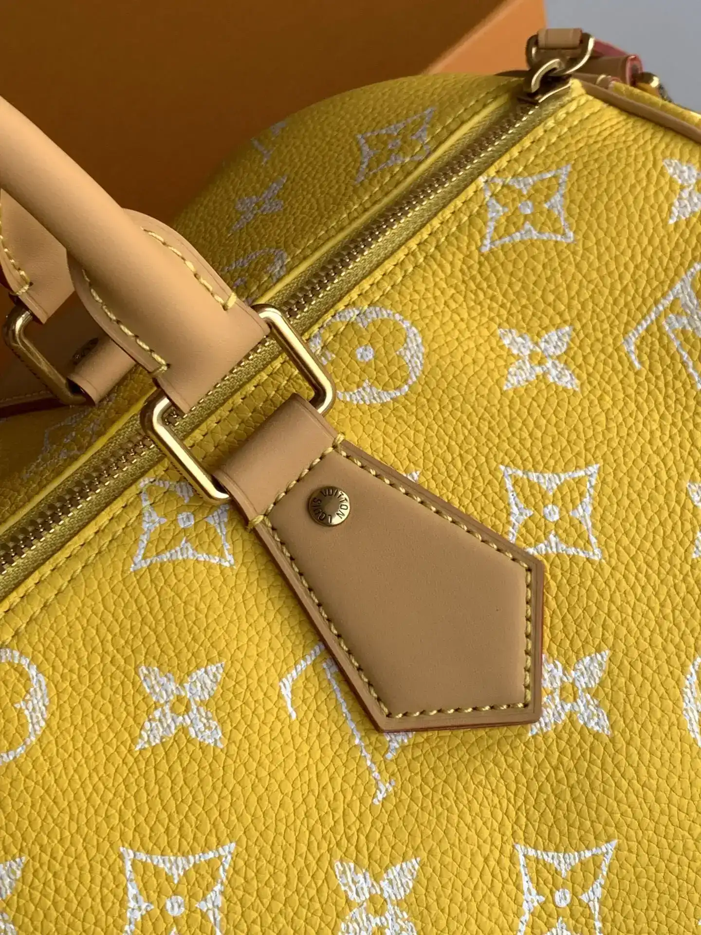 Louis Vuitton Grained Leather Speedy Top Handle Bag product photo from LabelPicks