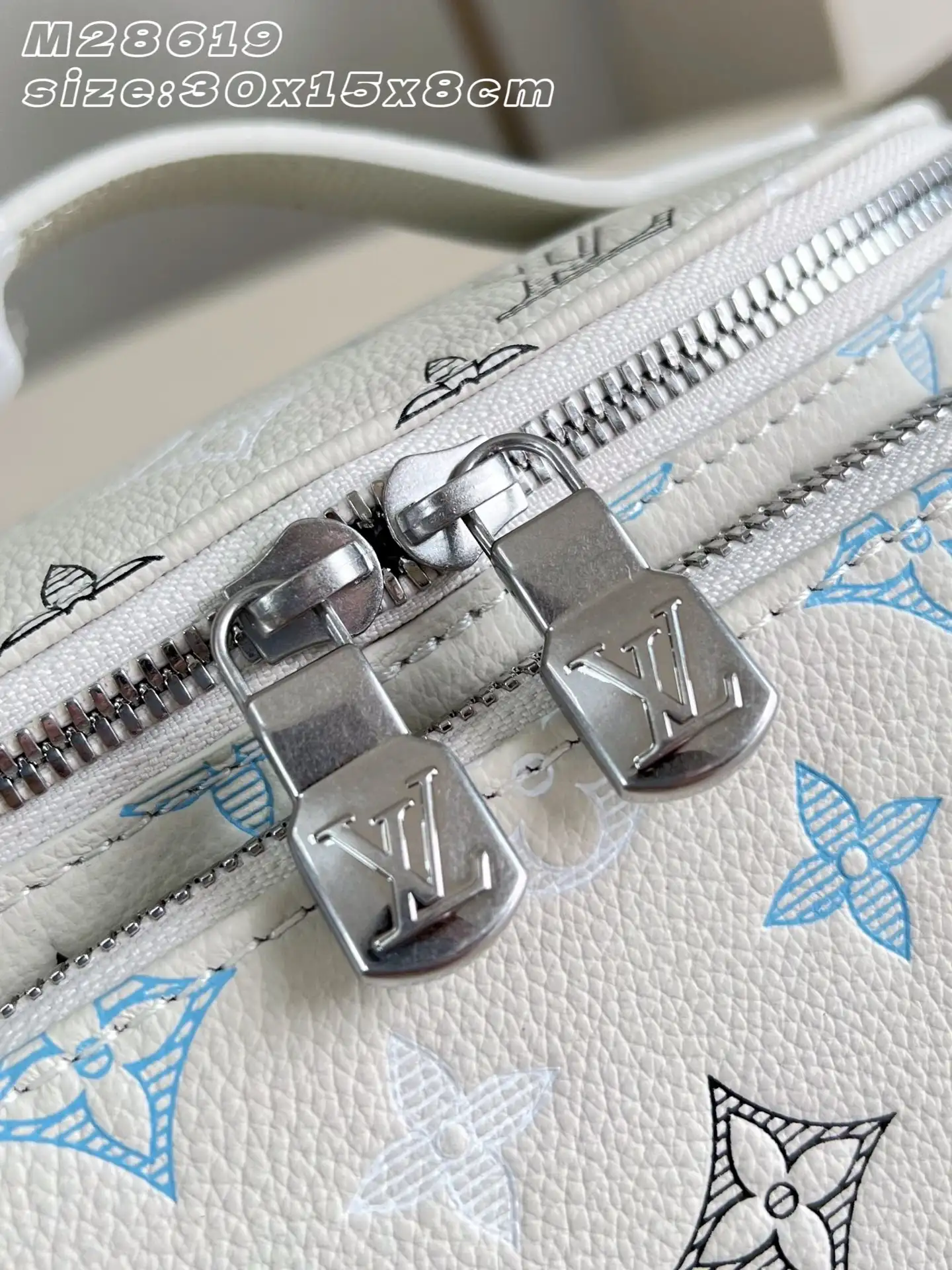 Louis Vuitton Calfskin Belt Bag product photo from LabelPicks
