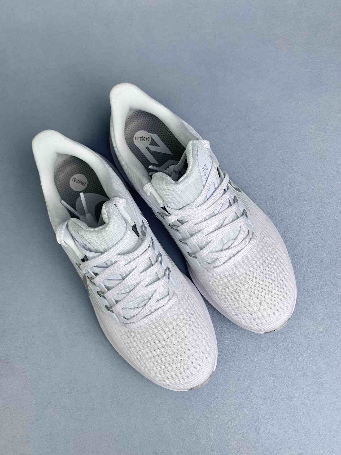 Nike Pegasus 39 Shoes