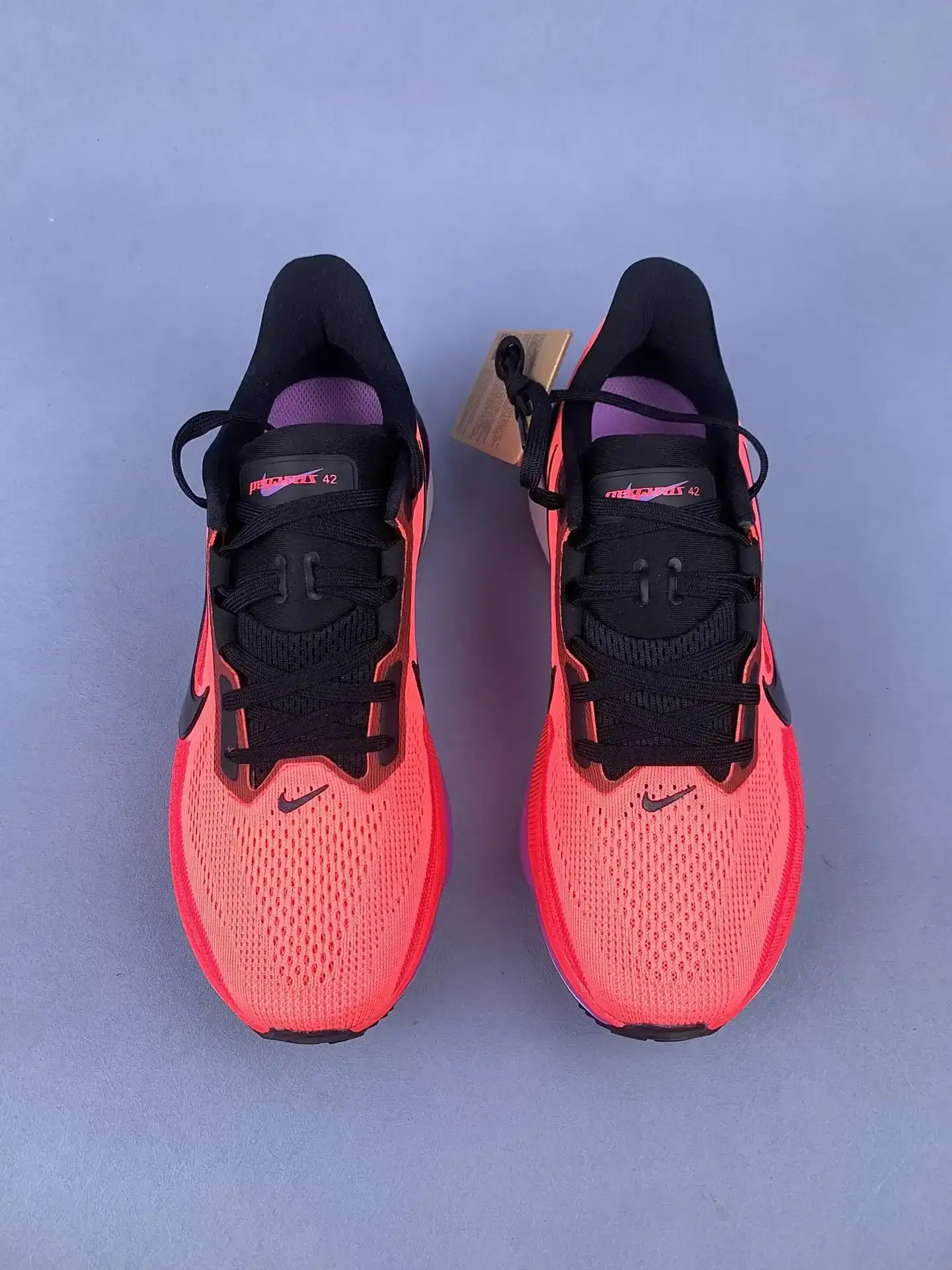 Nike Pegasus 42 Shoes product photo from LabelPicks