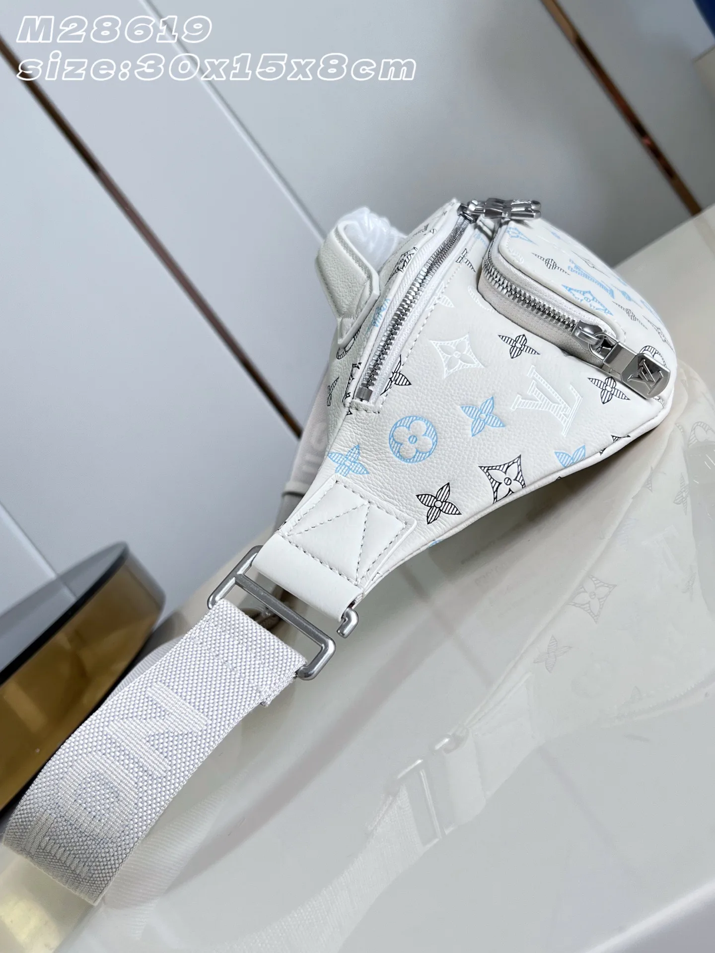 Louis Vuitton Calfskin Belt Bag product photo from LabelPicks
