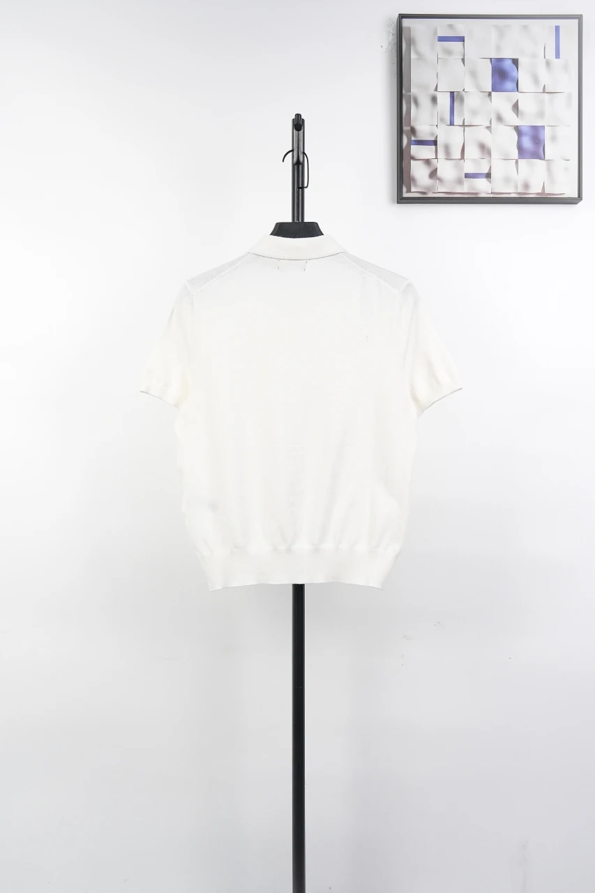 Ralph Lauren White Pony Embroidered Plain Knit Polo Shirt product photo from LabelPicks