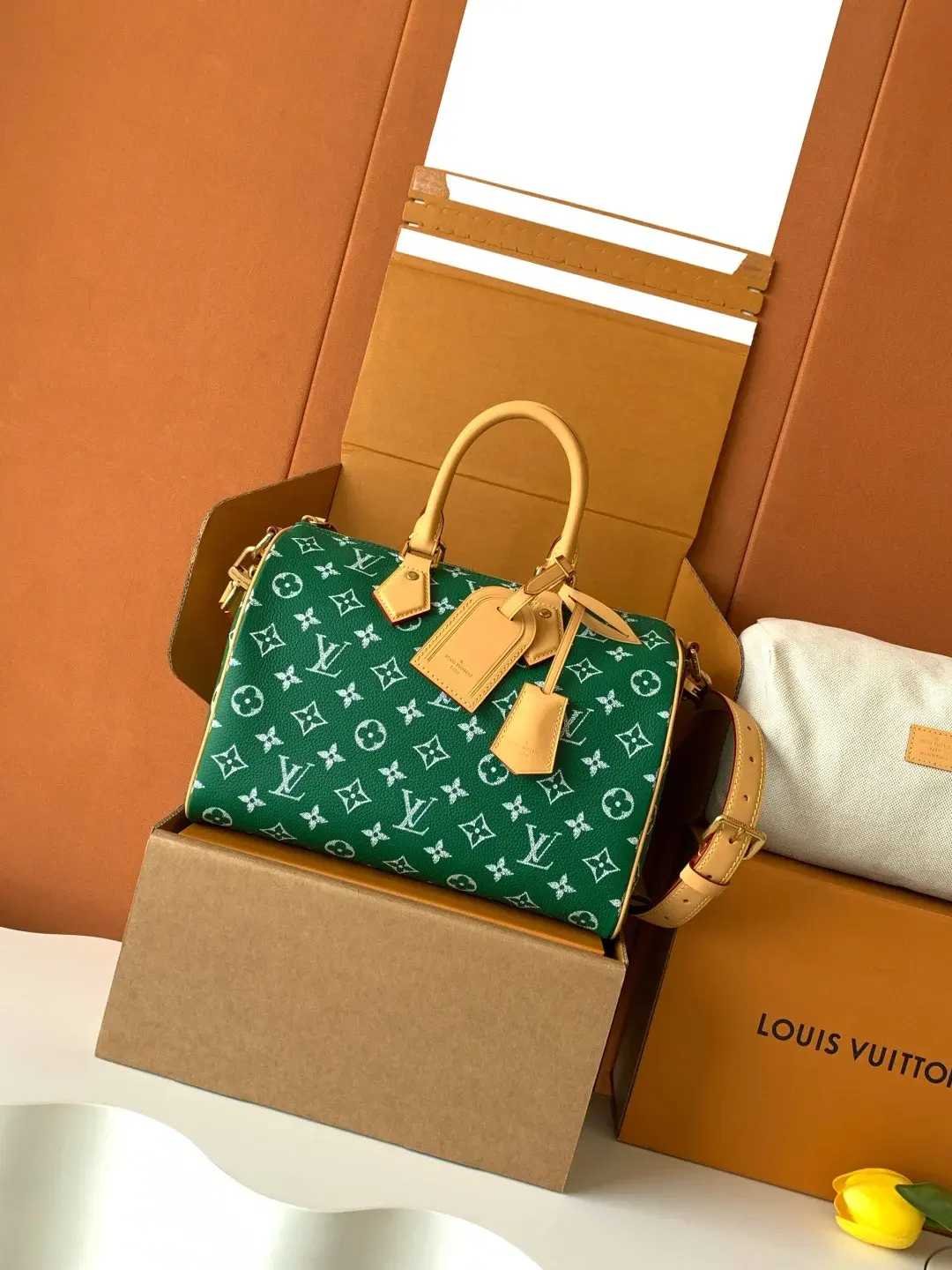Louis Vuitton Green Top Handle Bag product photo from LabelPicks