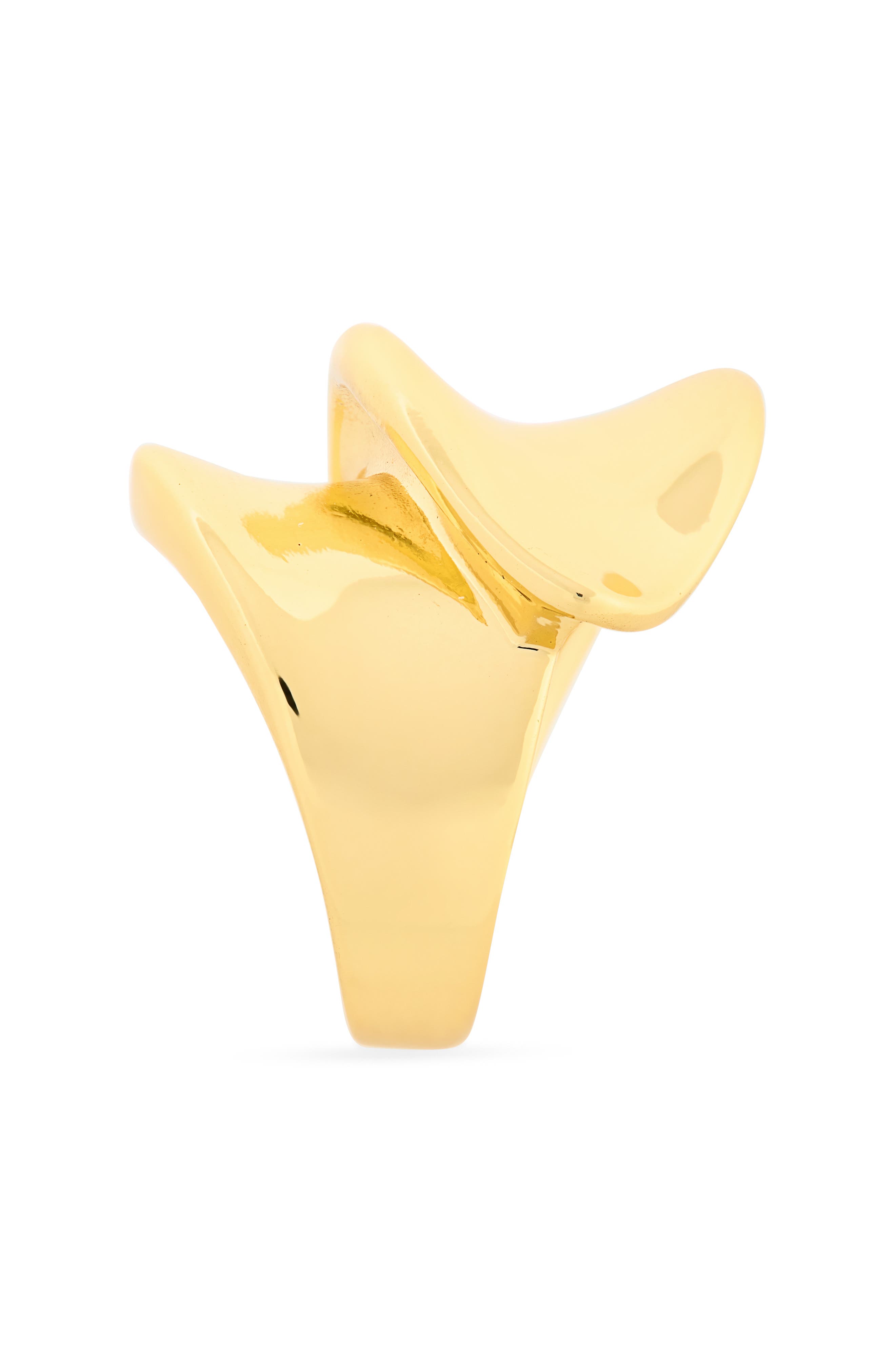 ARGENTO VIVO Sculpted Statement Ring