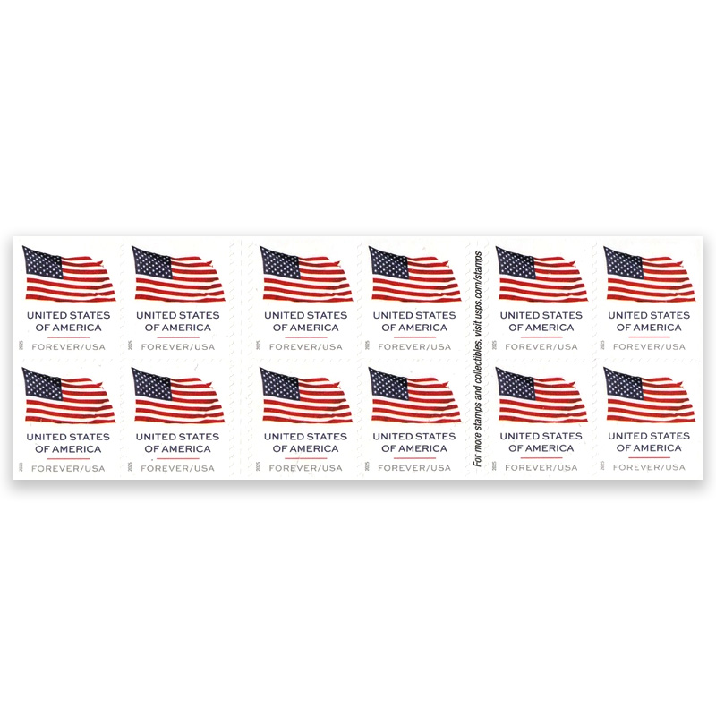 U.S. Flag 2025