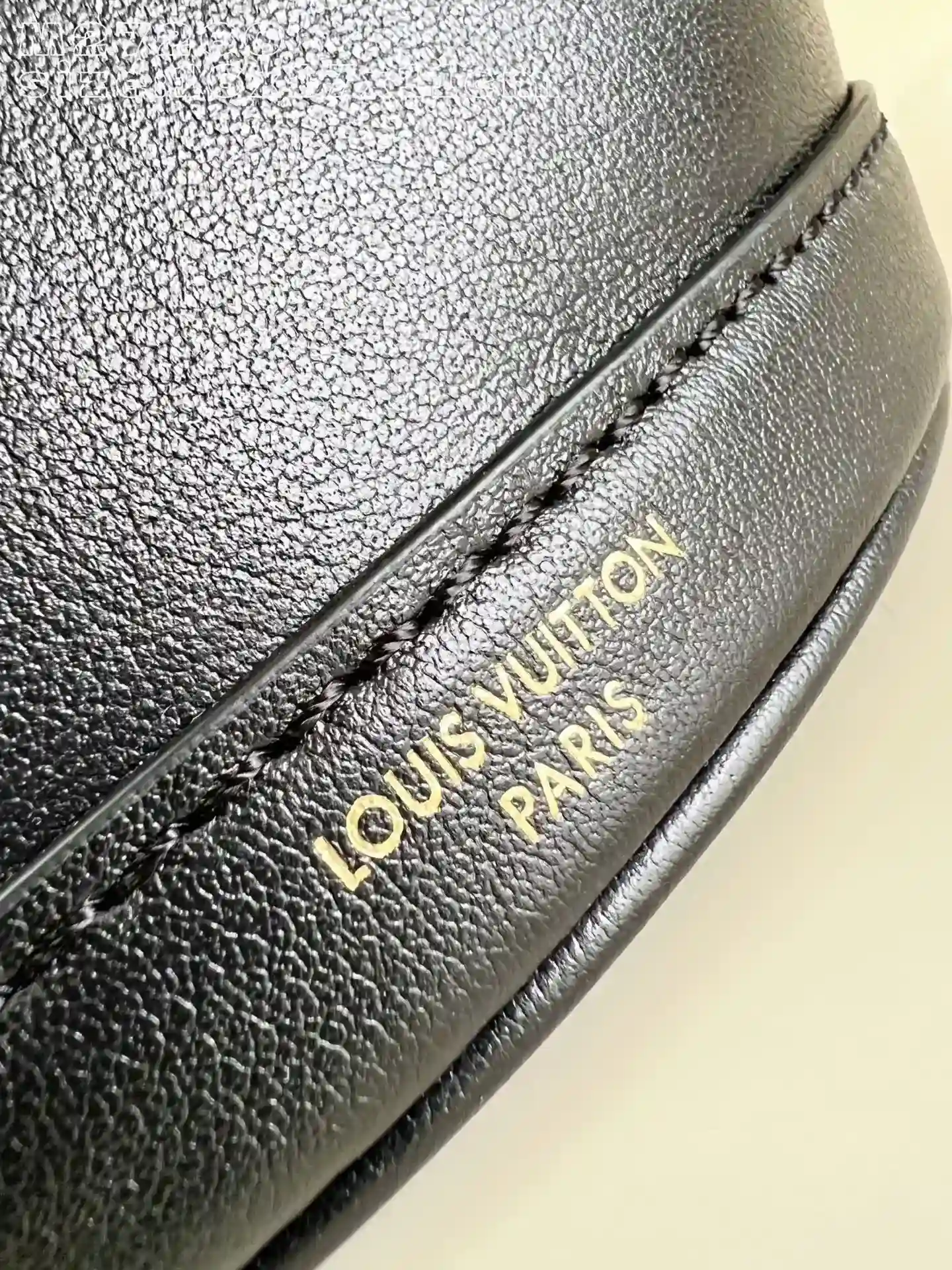 Louis Vuitton Calfskin Hobo Bag product photo from LabelPicks