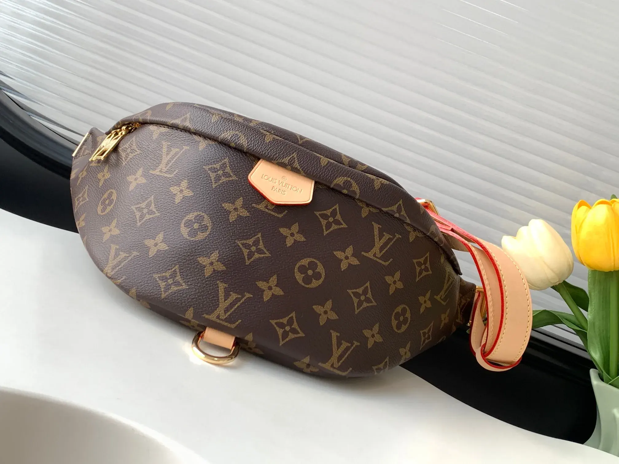 Louis Vuitton Monogram Canvas Belt Bag product photo from LabelPicks