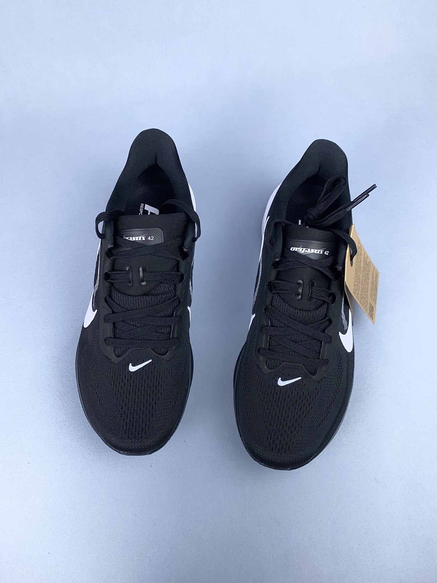 Nike Pegasus 42 Shoes