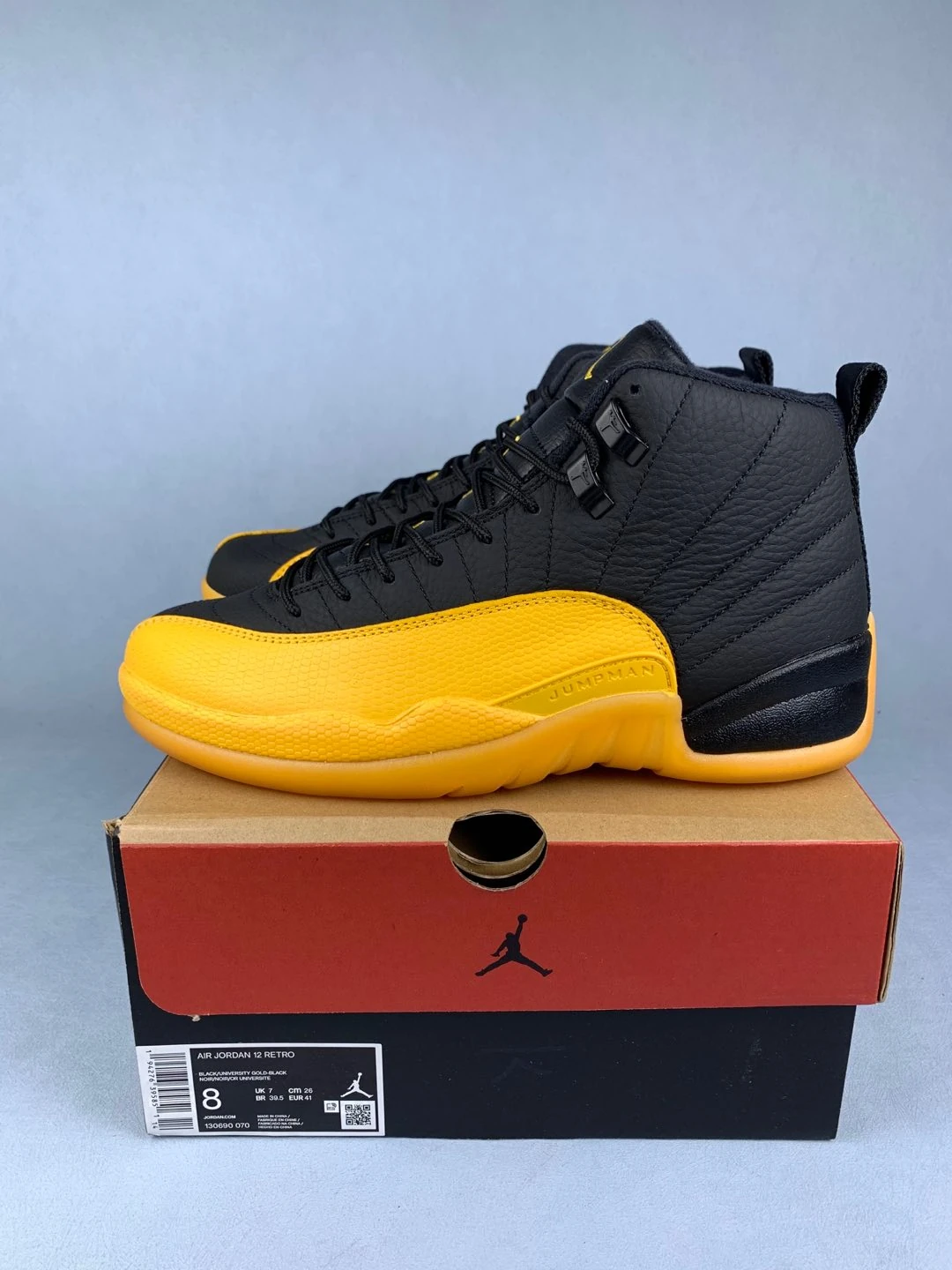 Air Jordan 12 Retro 