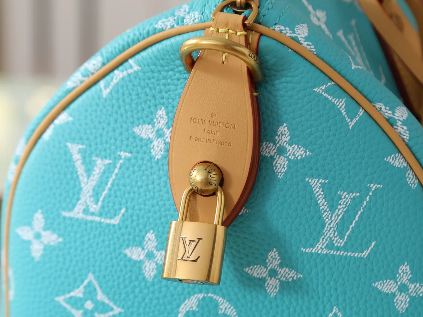 Louis Vuitton Blue Speedy Lambskin Top Handle Bag product photo from LabelPicks