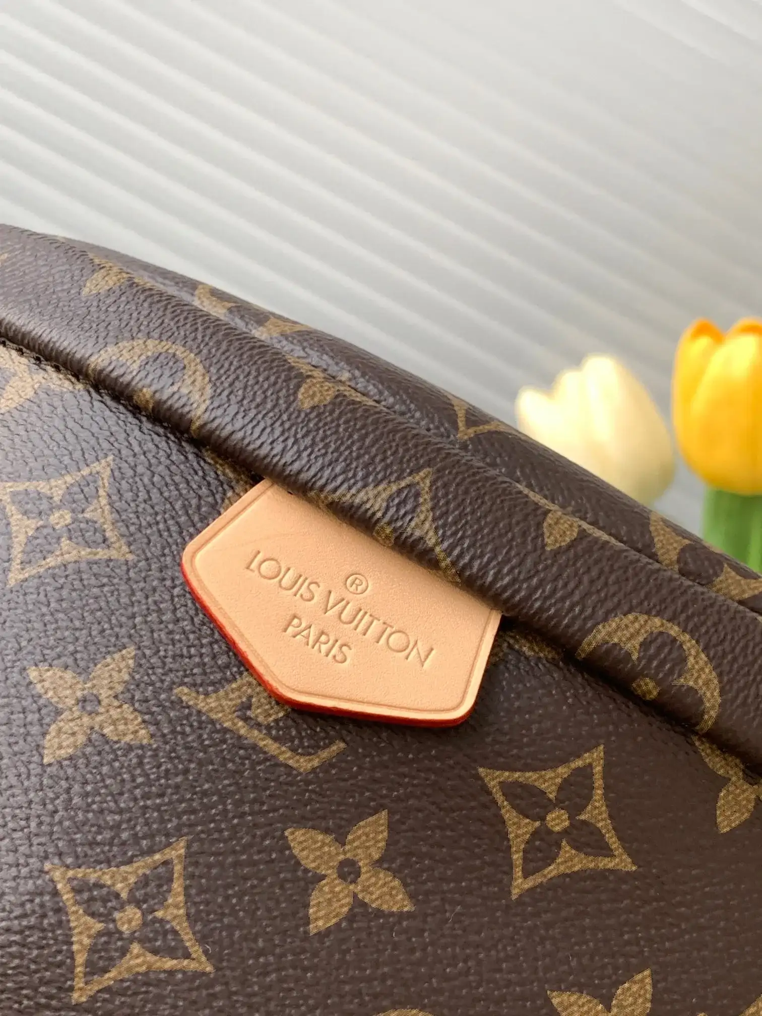 Louis Vuitton Monogram Canvas Belt Bag product photo from LabelPicks