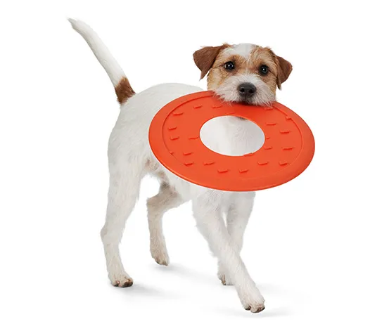 Hunde-Wurfscheibe