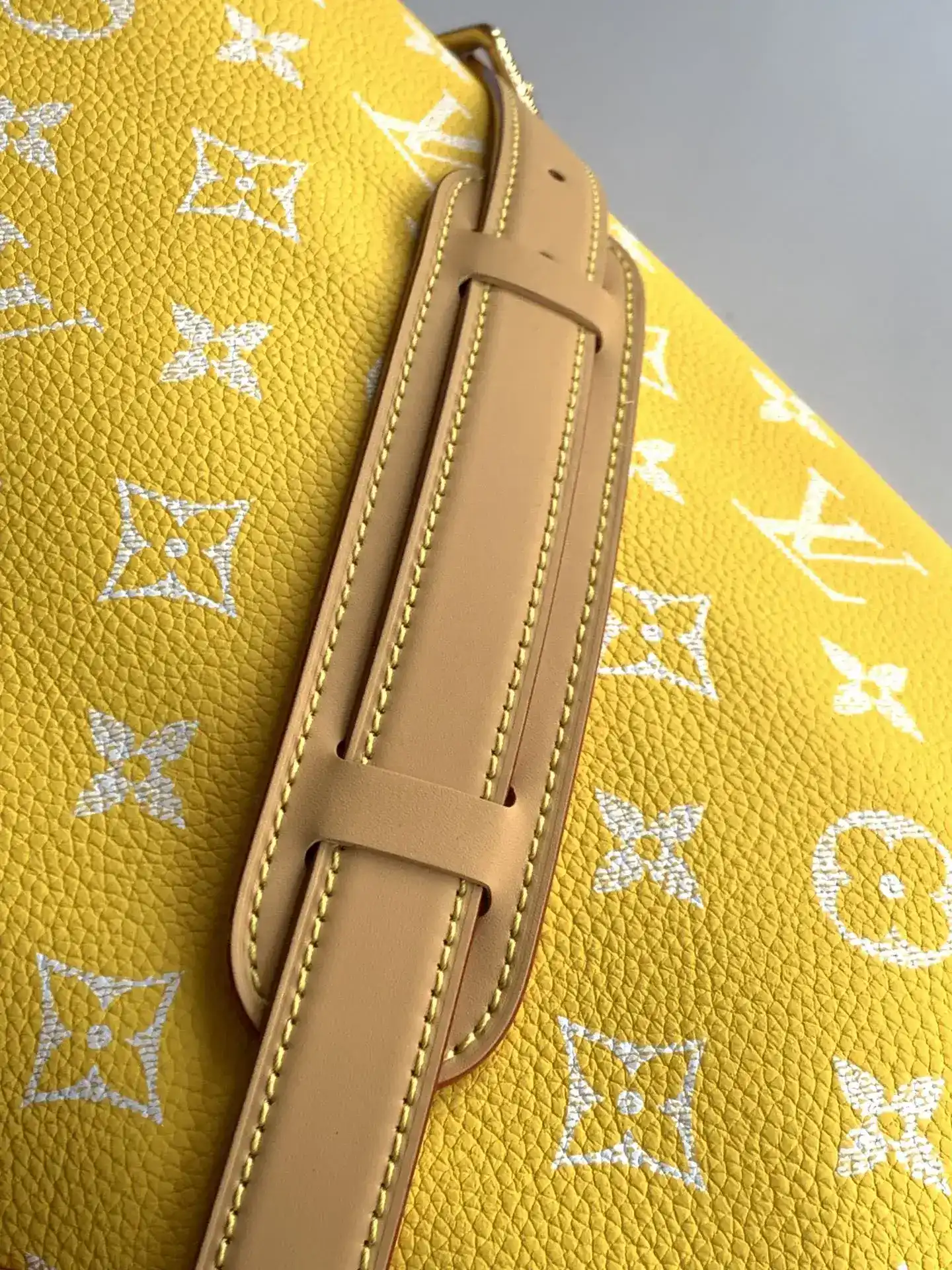 Louis Vuitton Grained Leather Speedy Top Handle Bag product photo from LabelPicks