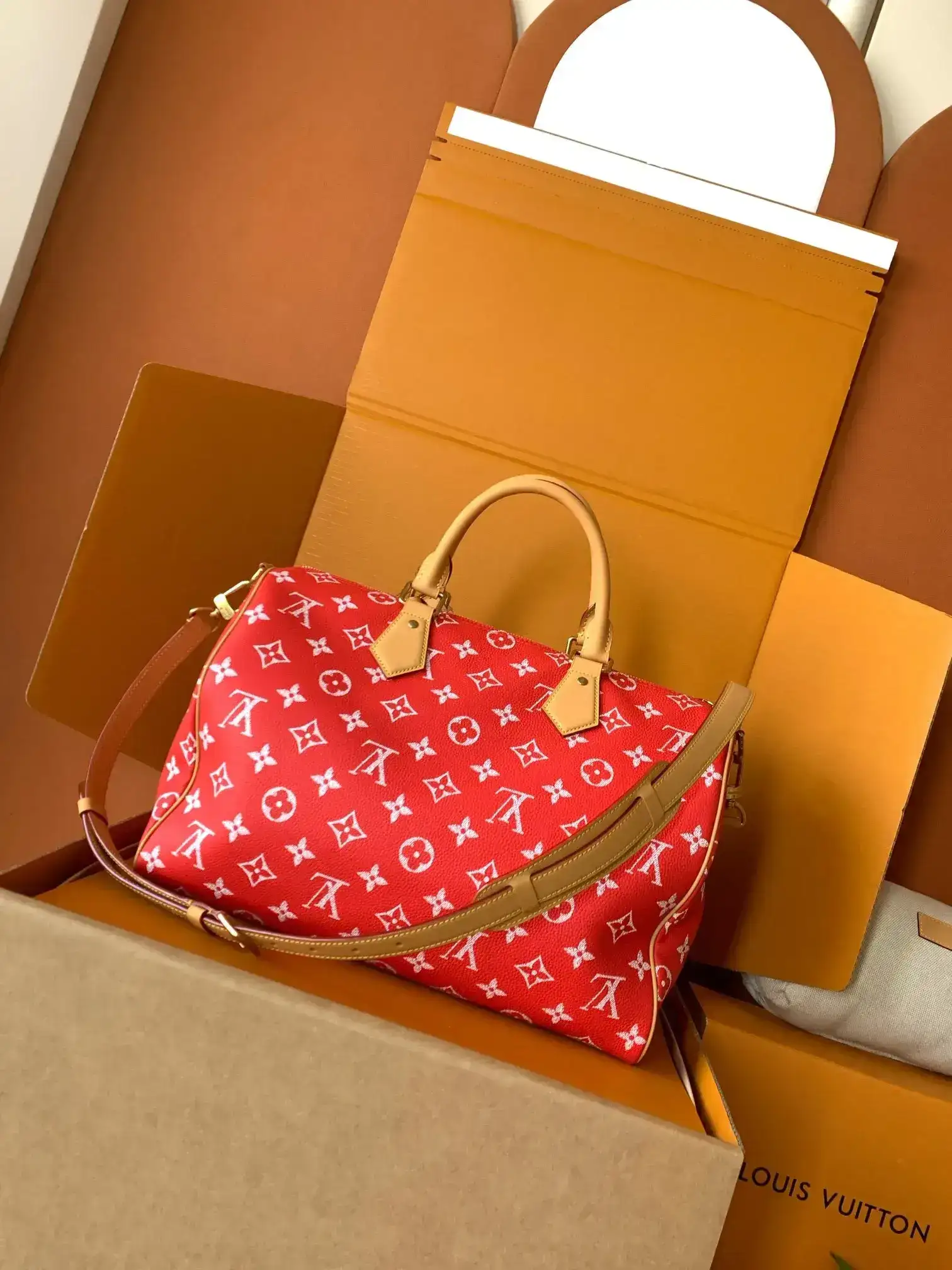 Louis Vuitton Grained Leather Top Handle Bag product photo from LabelPicks