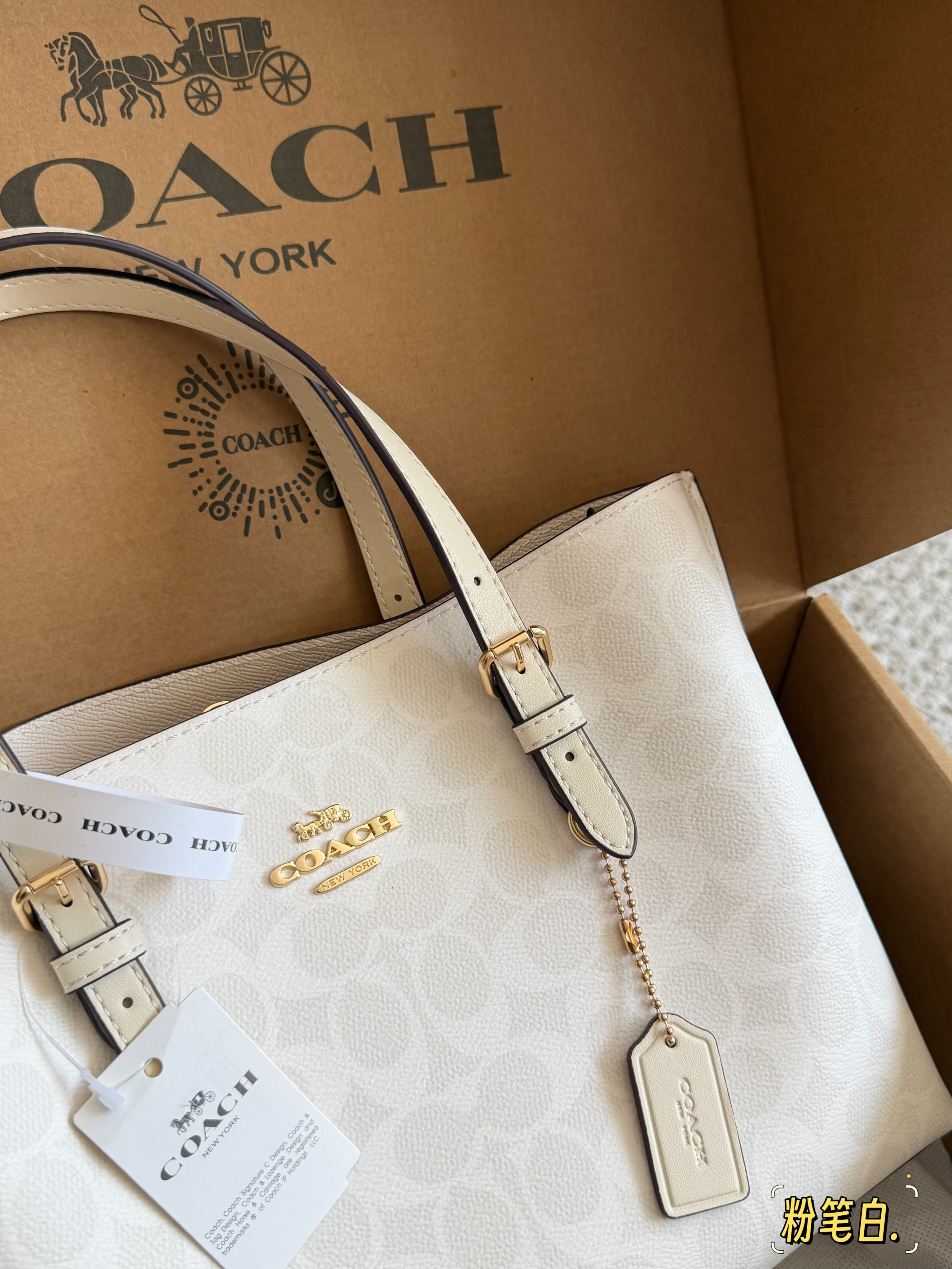 coach Mollie  tote25 bag