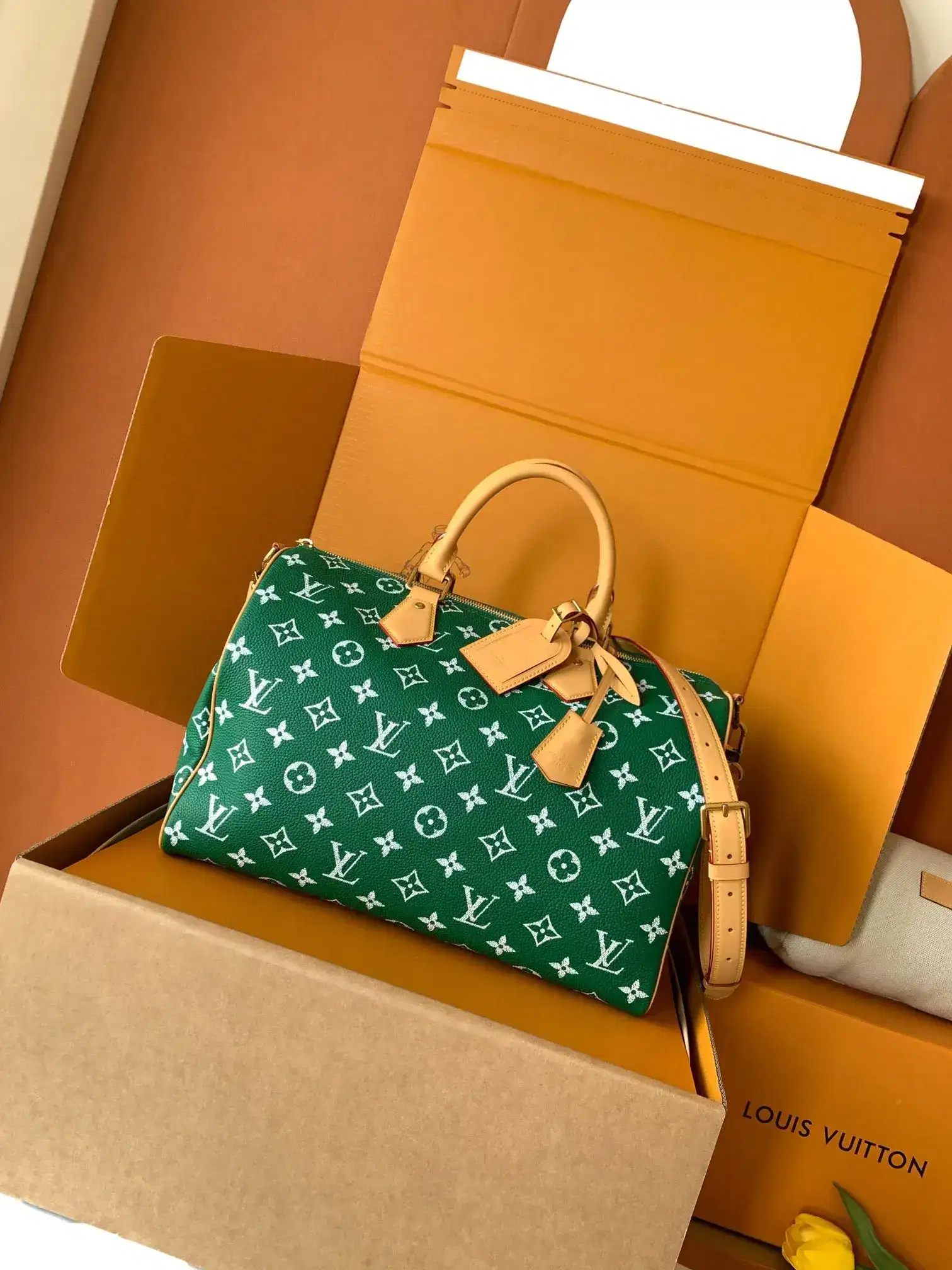 Louis Vuitton Grained Leather Speedy Top Handle Bag product photo from LabelPicks