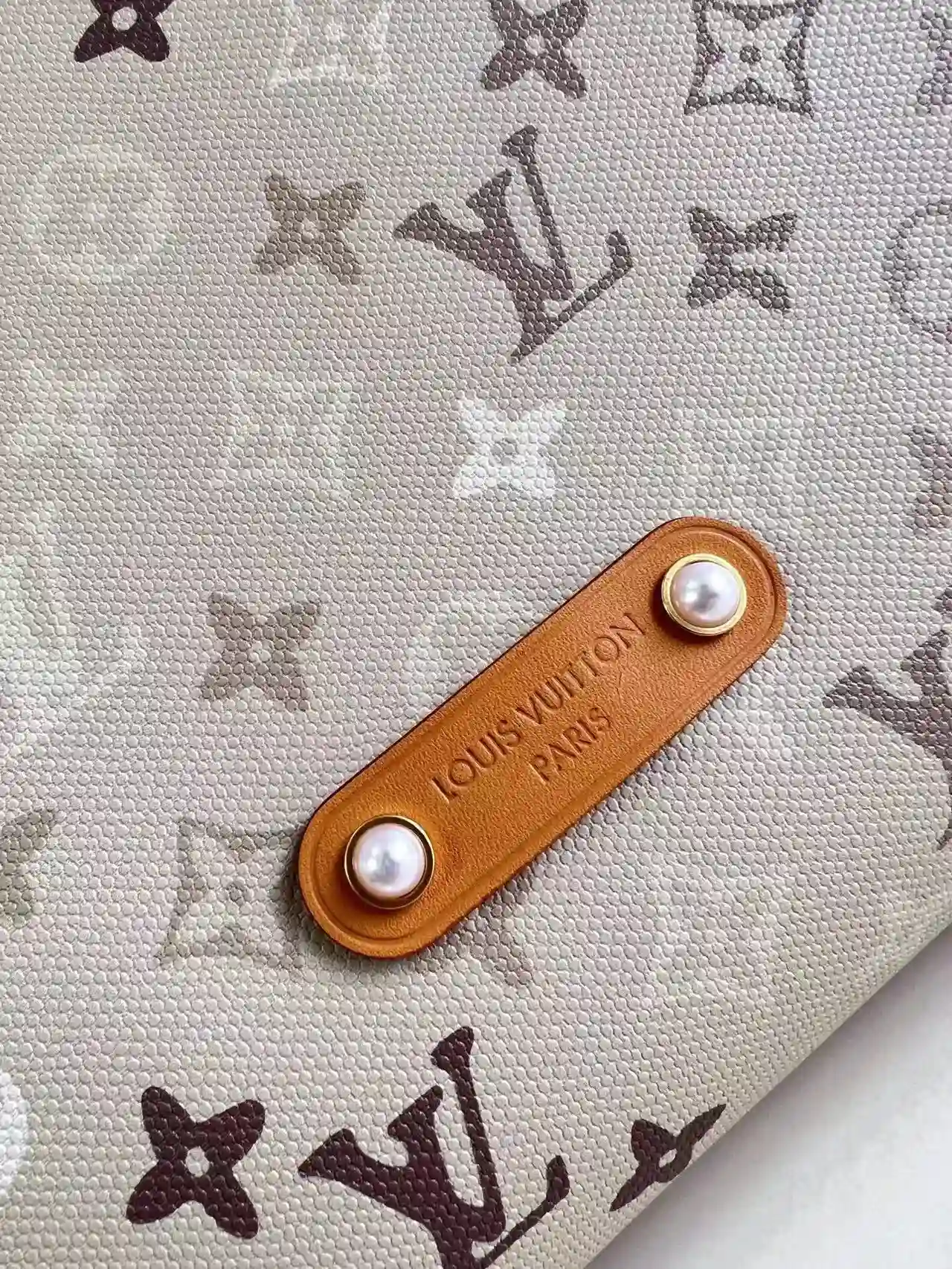 Louis Vuitton Monogram Canvas Hobo Bag product photo from LabelPicks