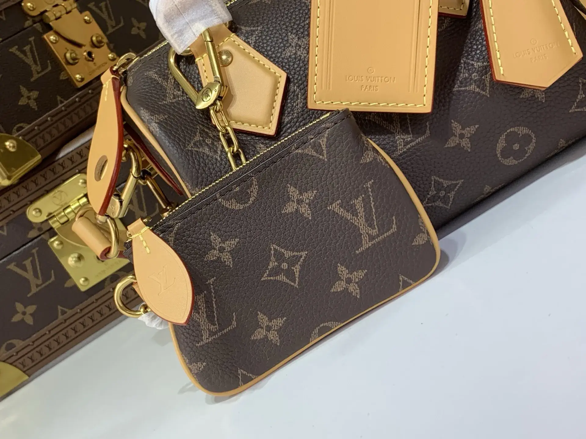 Louis Vuitton Blue Speedy Monogram Canvas Top Handle Bag product photo from LabelPicks