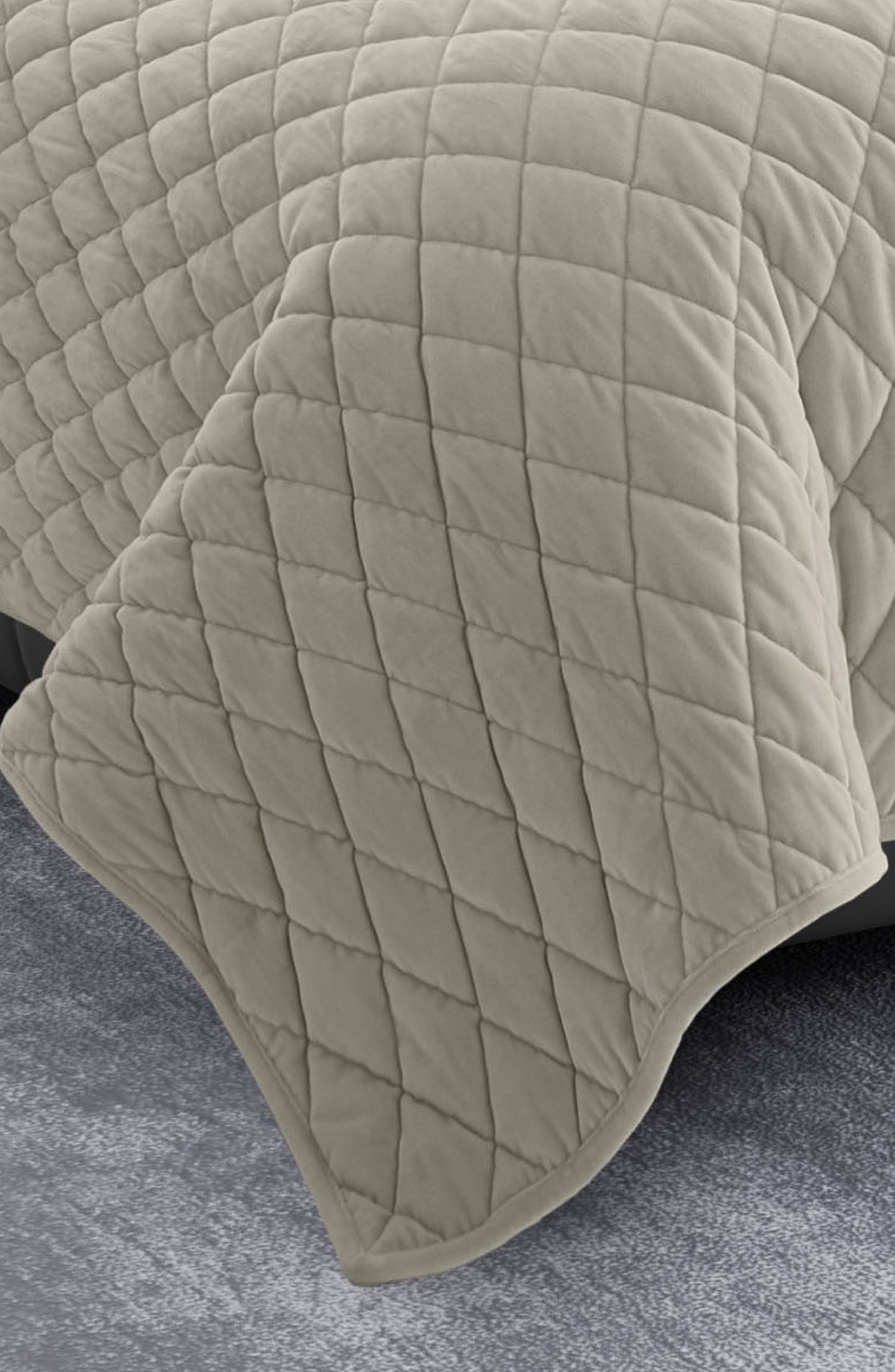 Vera Wang Diamond Velvet Quilt & Sham Set