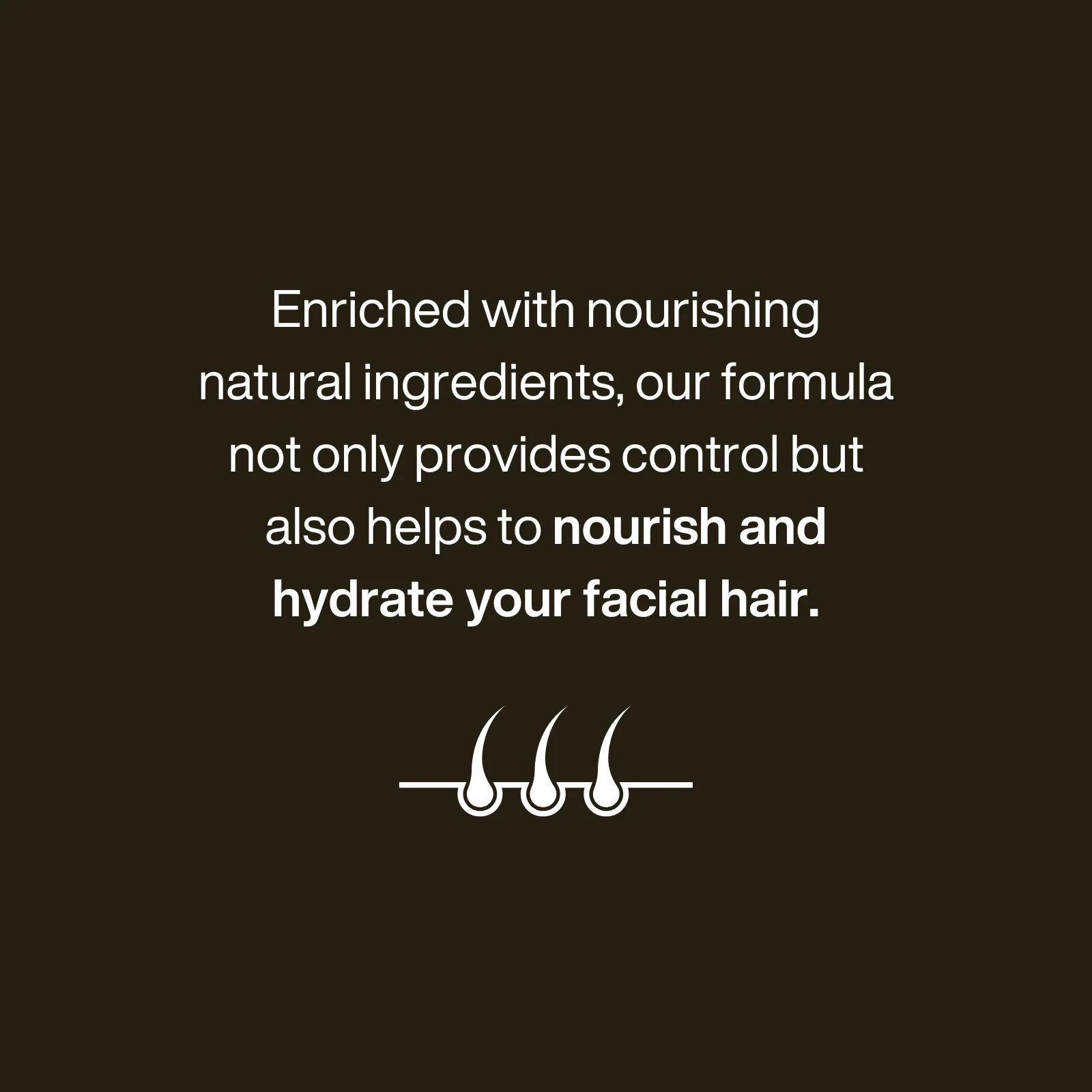 Blackspice Beard Control 100ml