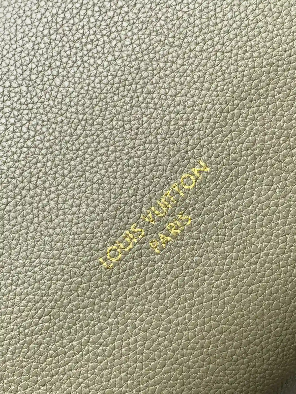 Louis Vuitton Black Grained Leather Tote Bag product photo from LabelPicks
