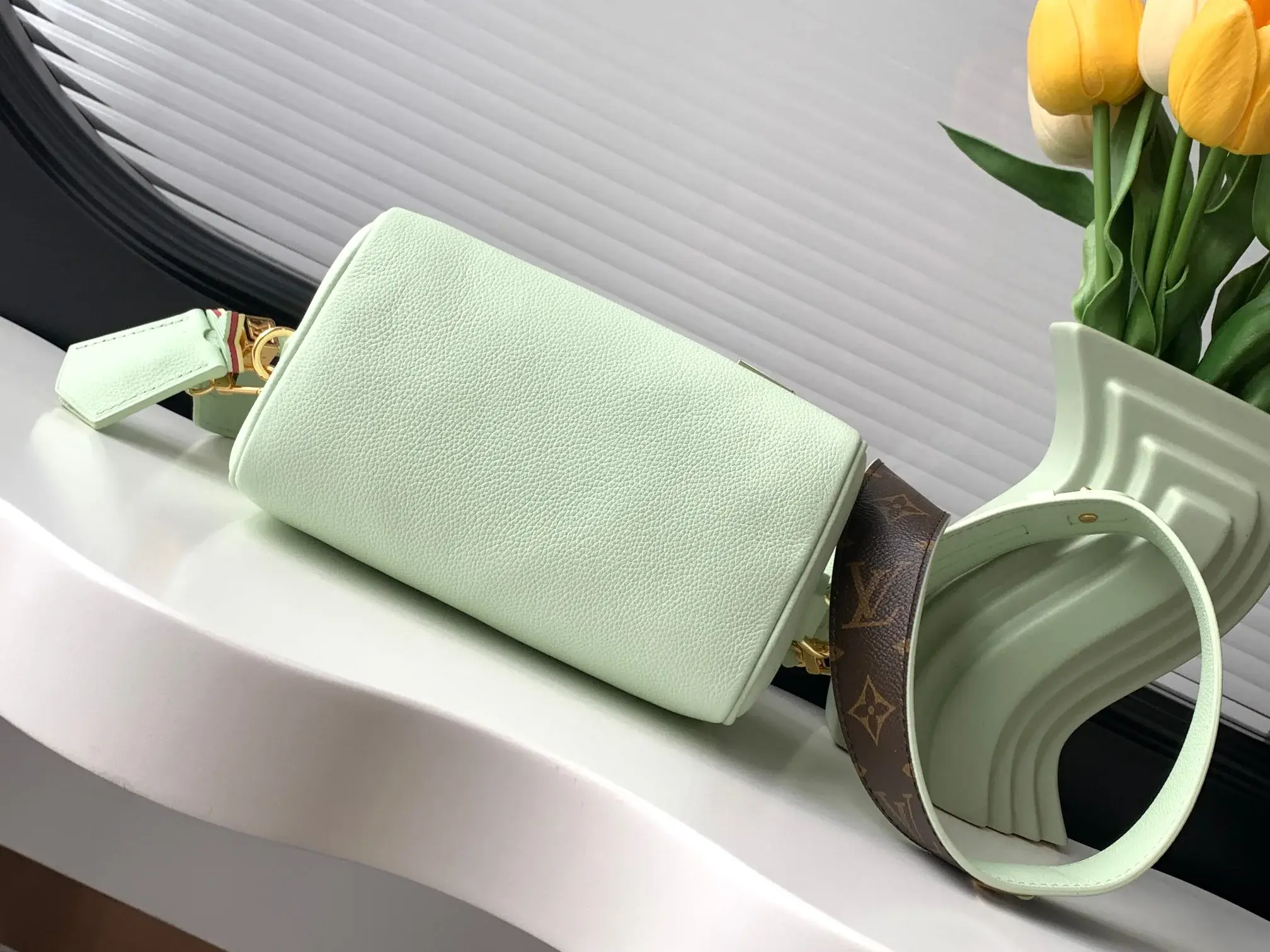 Louis Vuitton Green Speedy Top Handle Bag product photo from LabelPicks