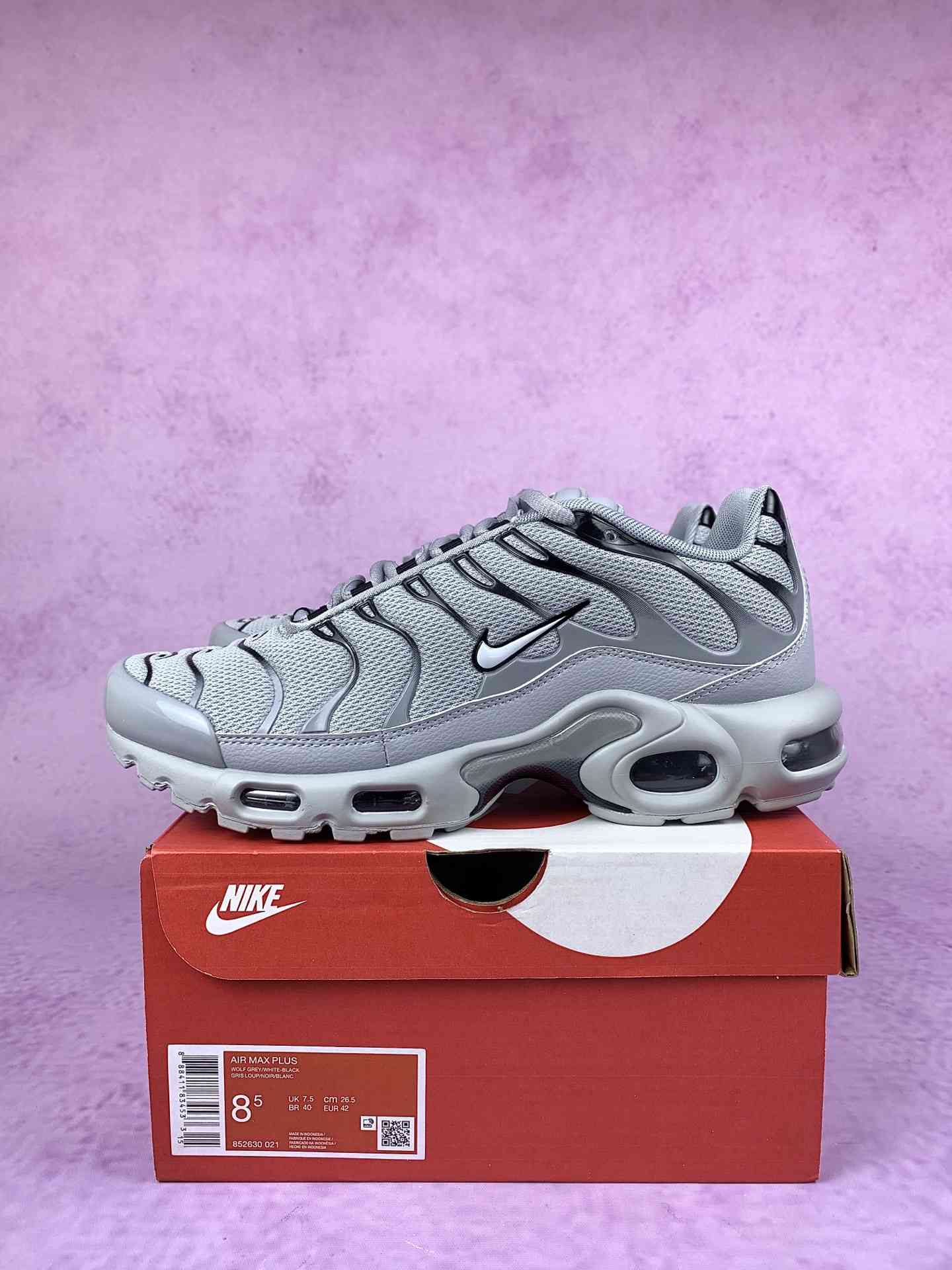 Nike Air Max Plus Shoes