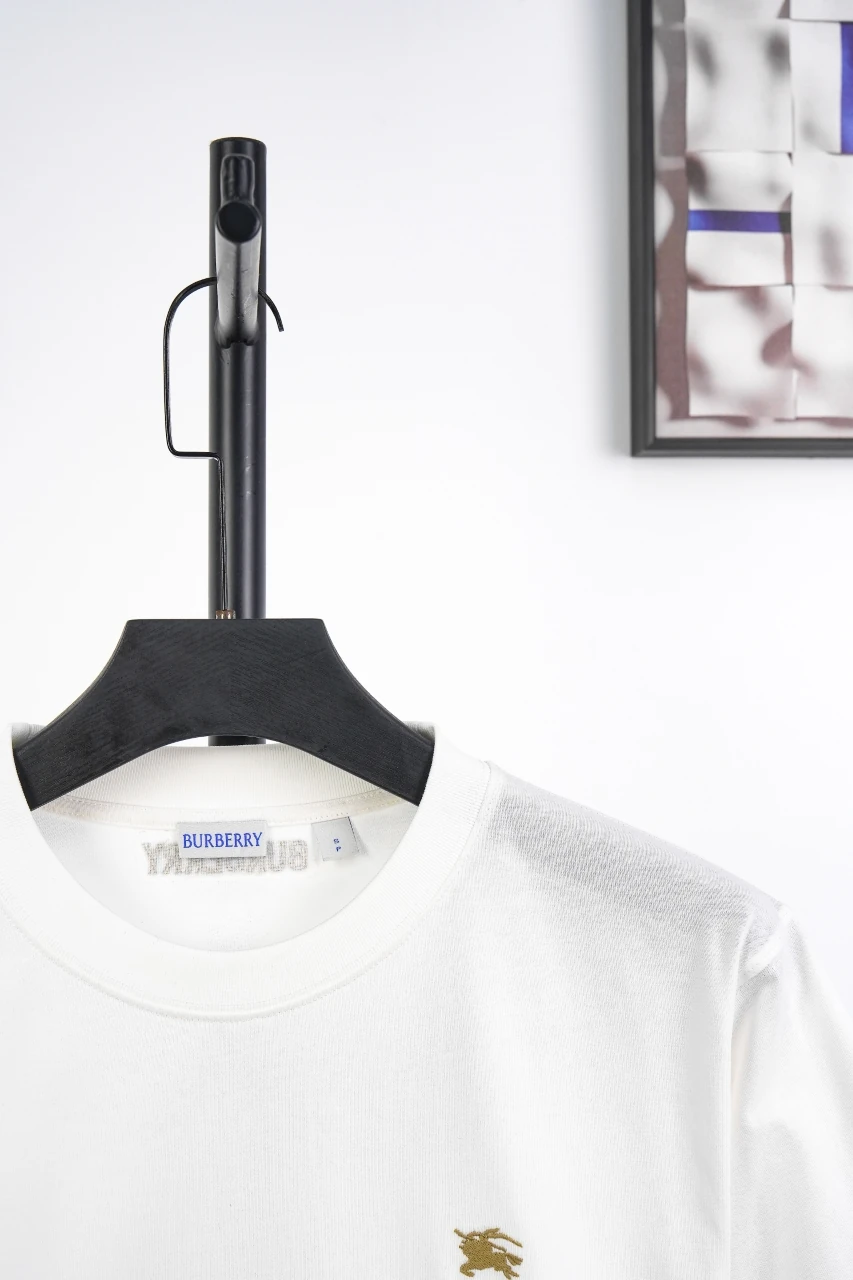 Burberry White Check Sleeve Trim Crewneck T-Shirt product photo from LabelPicks