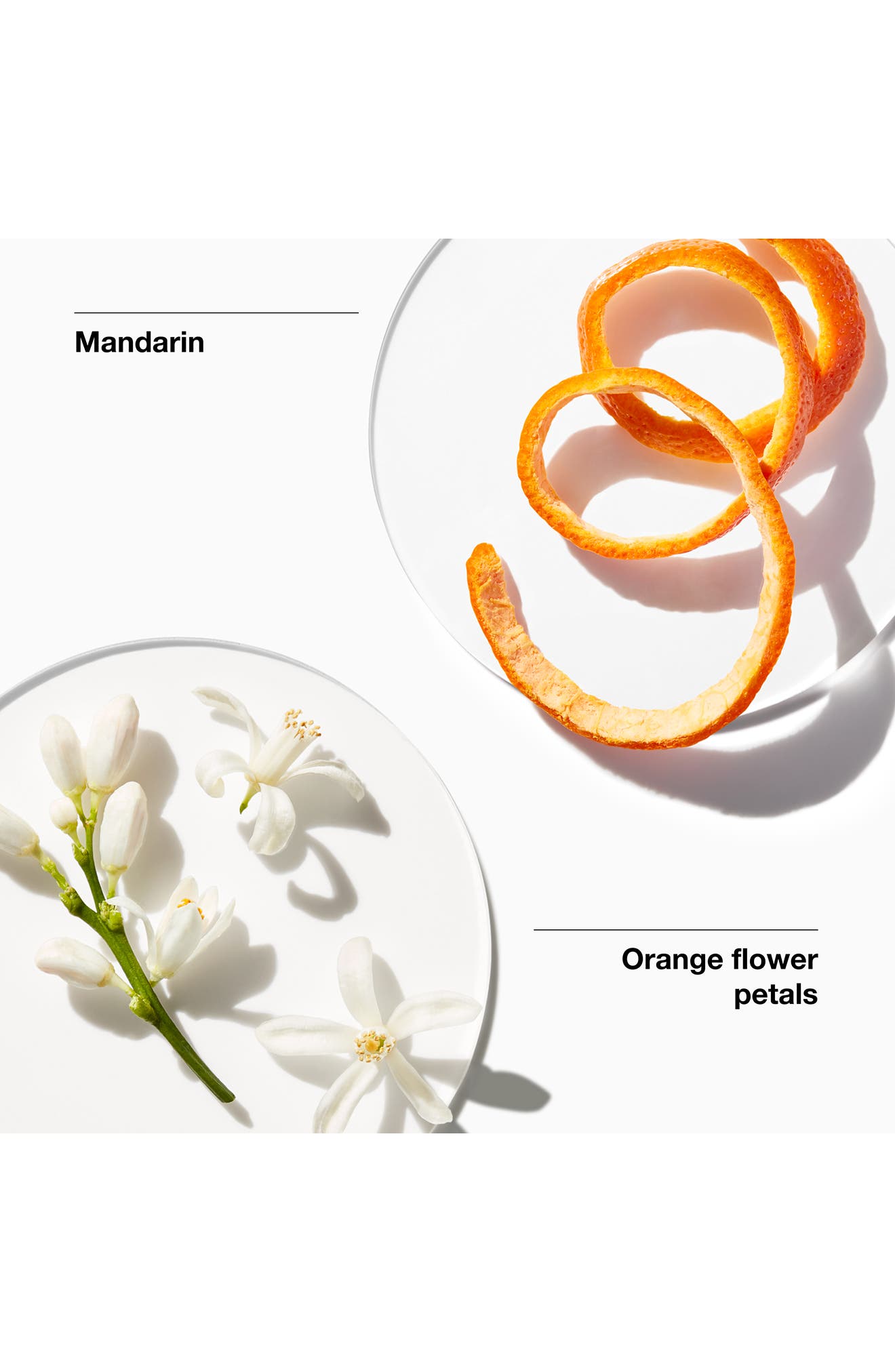 Clinique My Happy Baby Bouquet Fragrance
