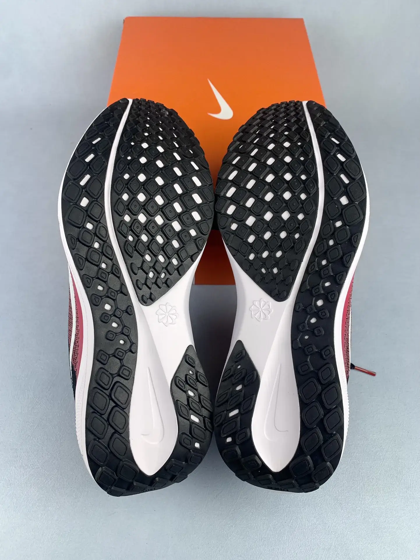 Nike Pegasus 41 Shoes product photo from LabelPicks