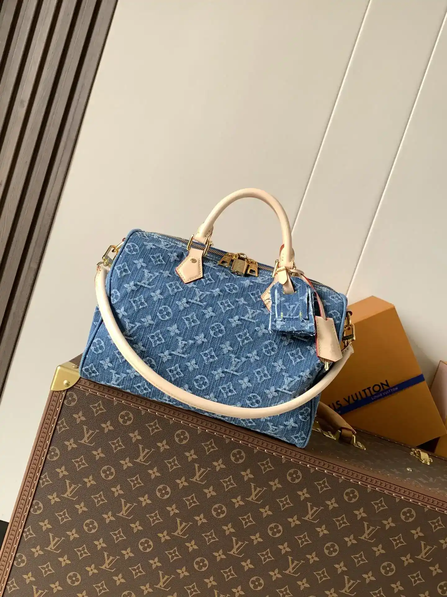 Louis Vuitton Speedy Blue Calfskin Top Handle Bag product photo from LabelPicks