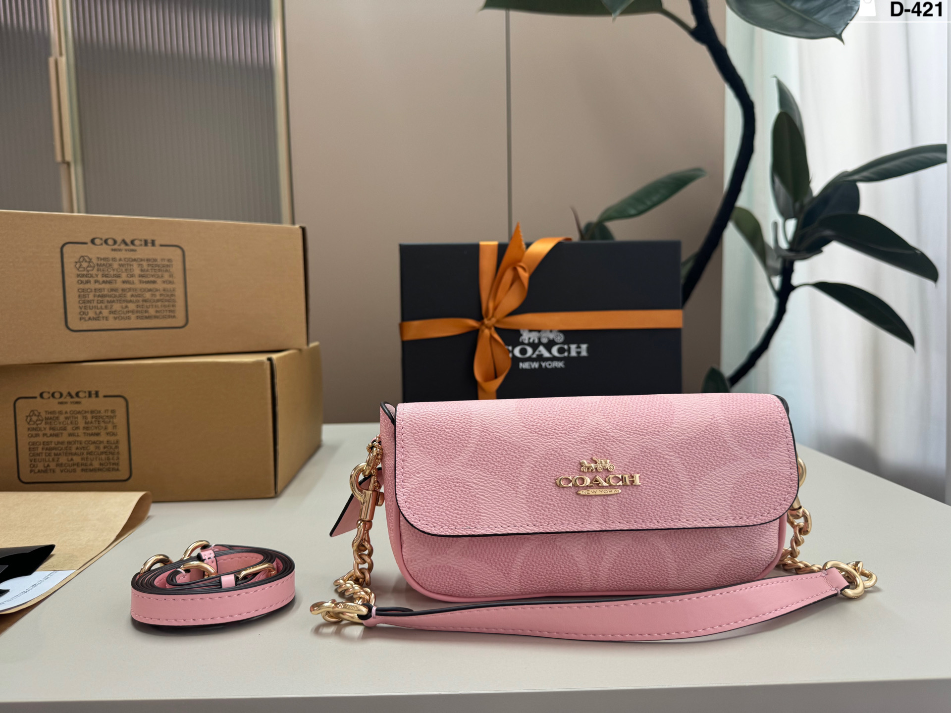 Coach Hailey Small Baguette Envelope Bag