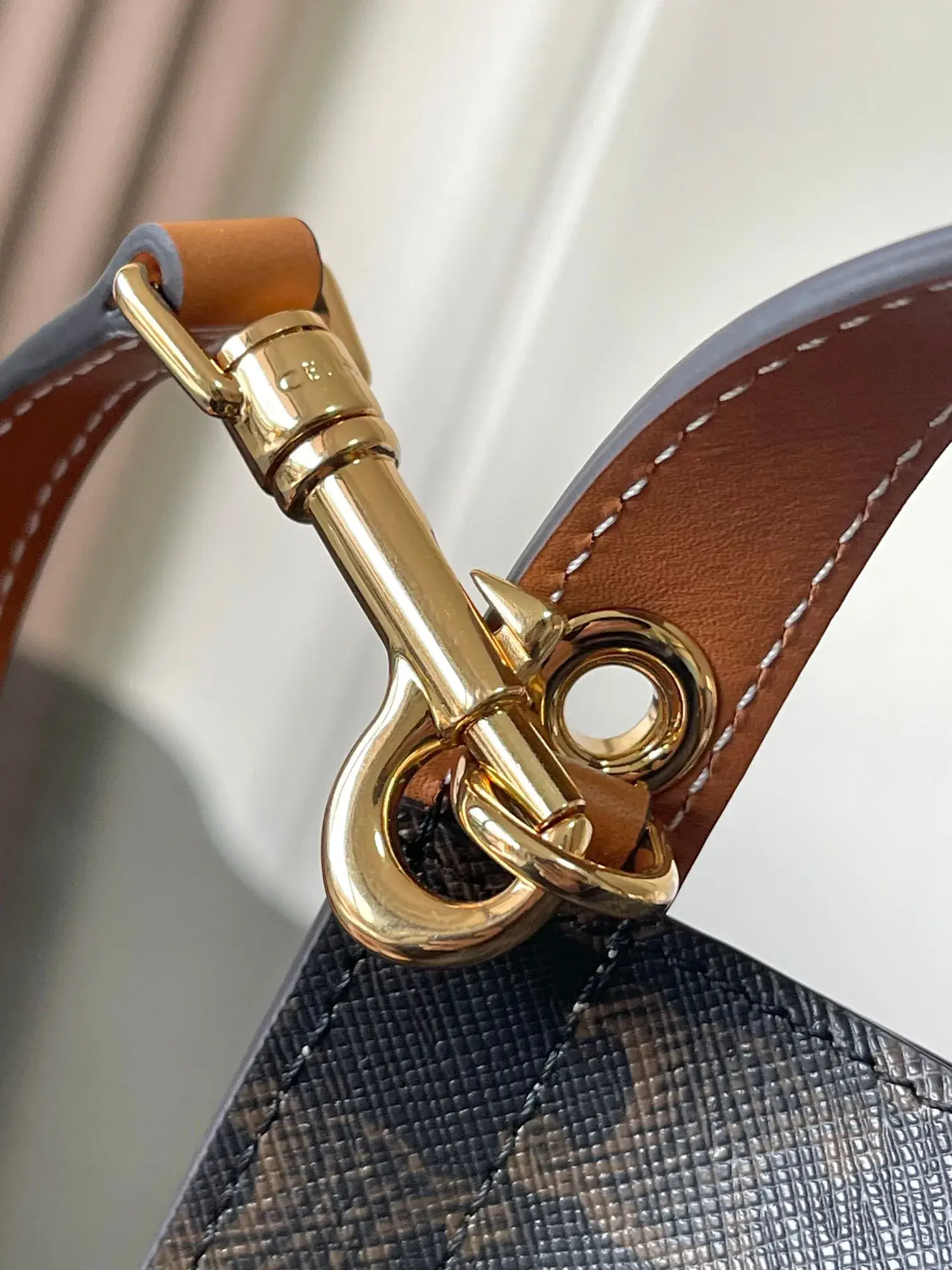 Celine Day-To-Night Crossbody Bag product photo from LabelPicks