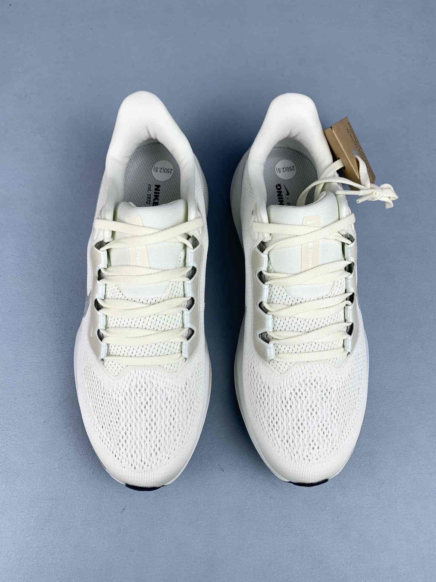 Nike Pegasus 41 Premium Shoes
