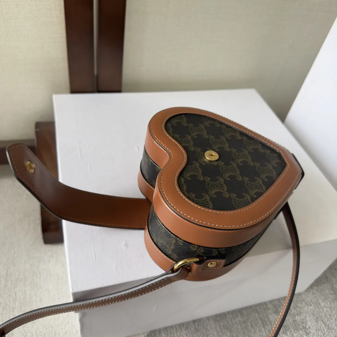 Celine Triomphe Canvas Box Crossbody Bag product photo from LabelPicks
